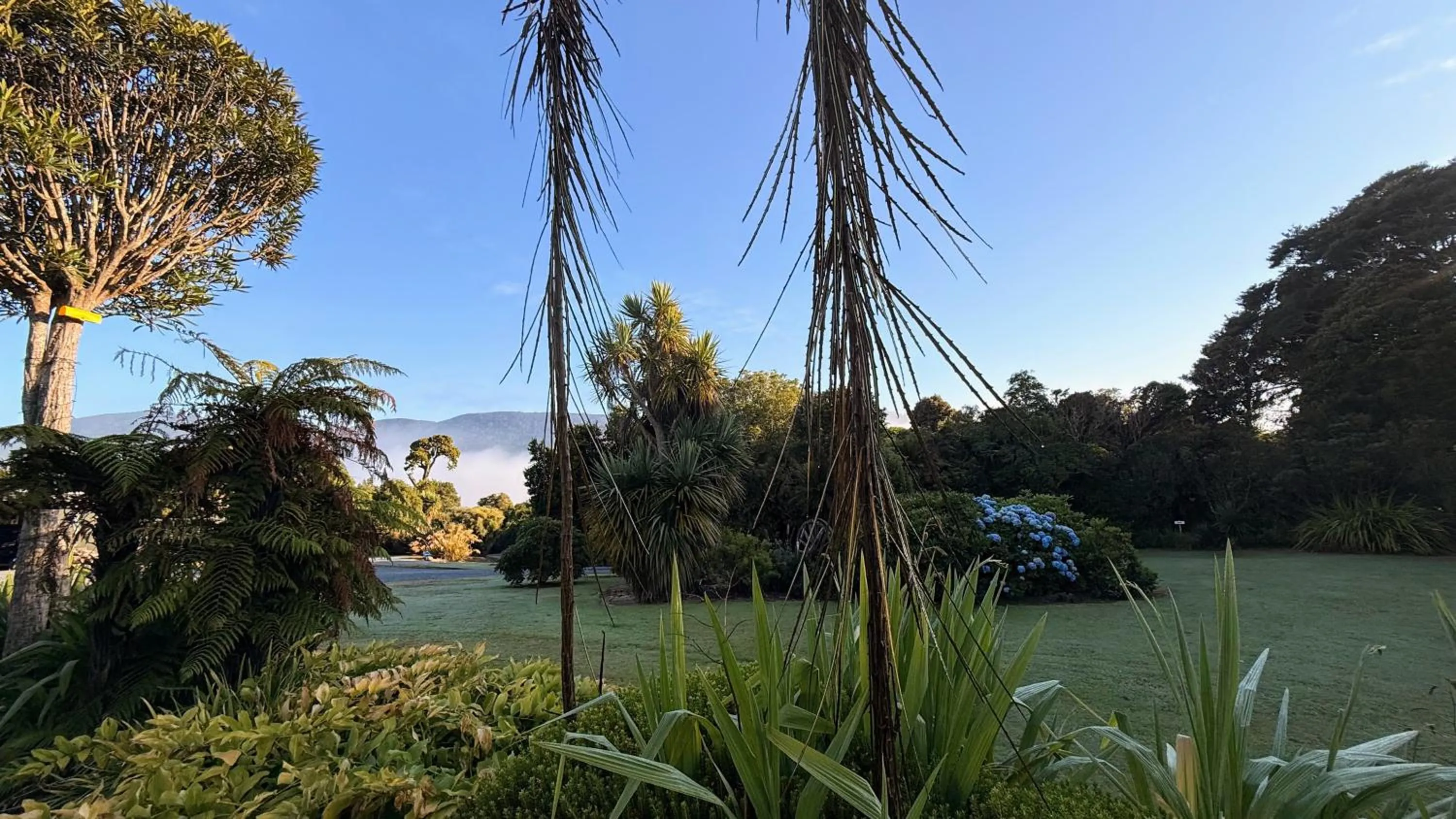 Garden in Mohua Park - Catlins Eco Accommodation