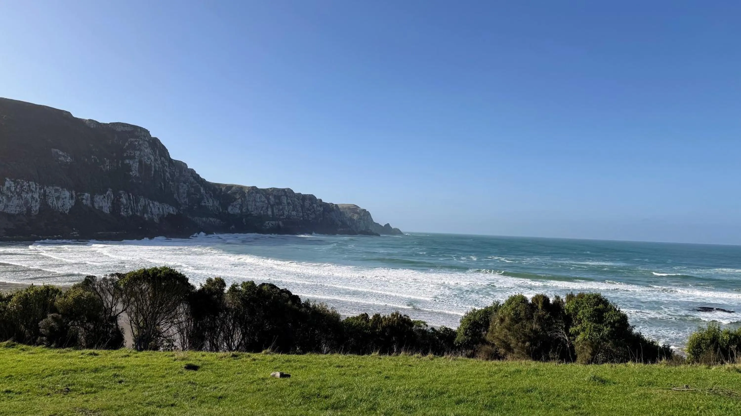 Off site in Mohua Park - Catlins Eco Accommodation