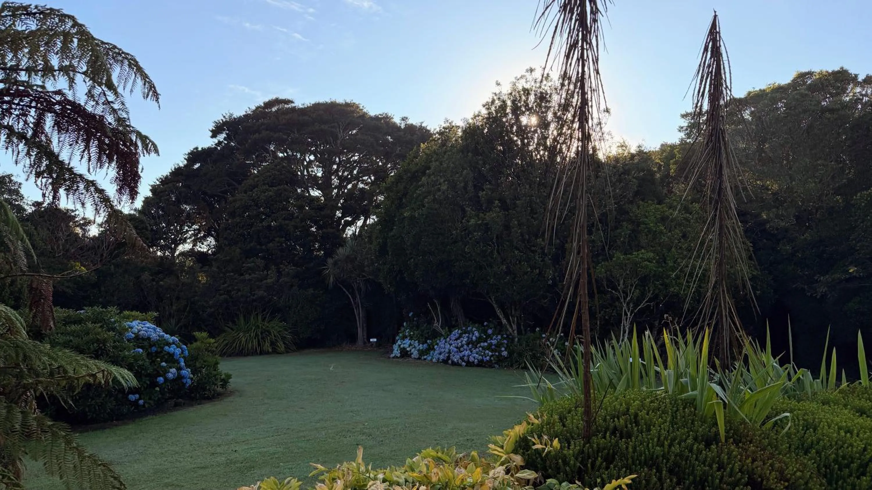 Garden in Mohua Park - Catlins Eco Accommodation