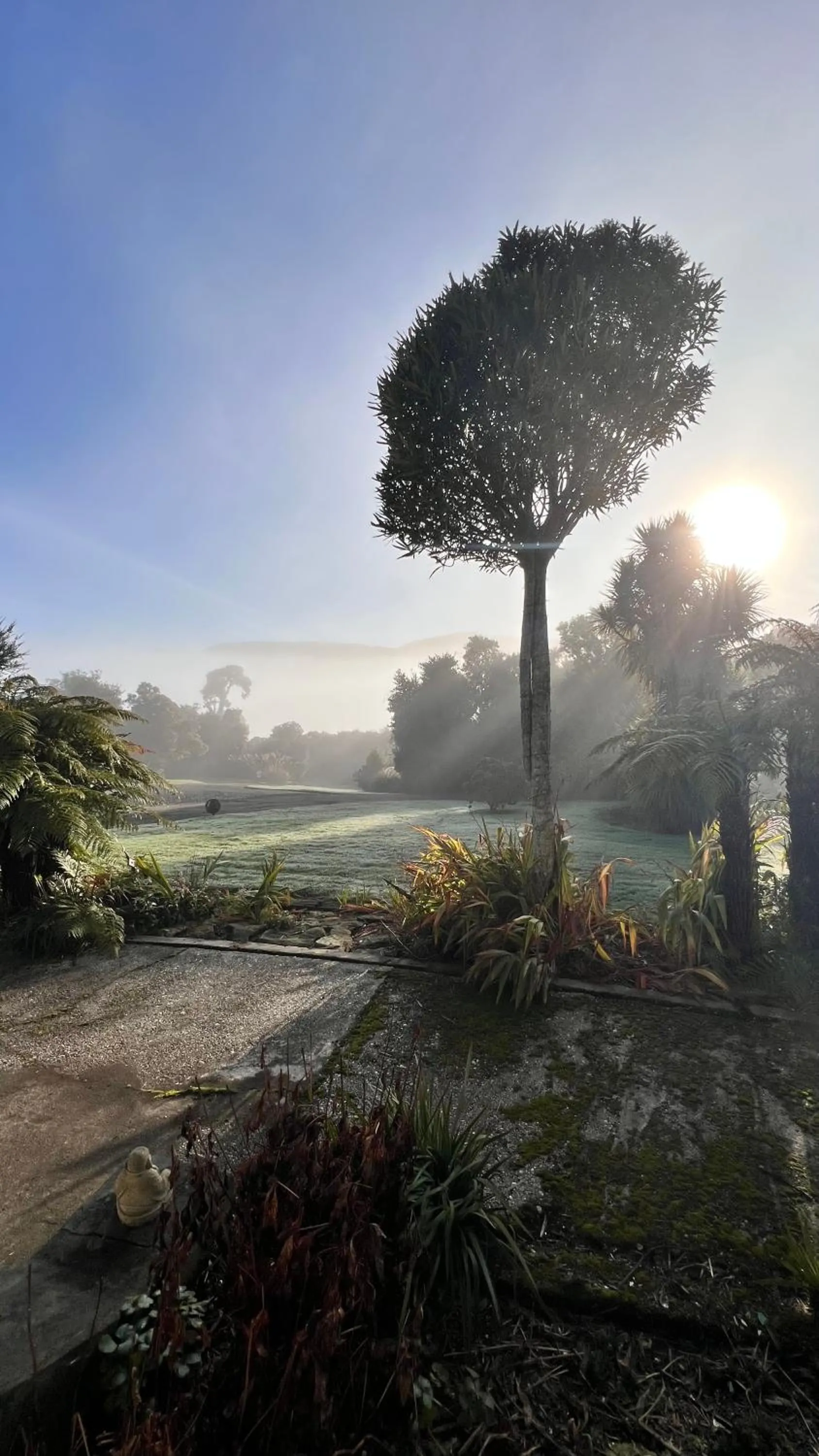 Garden in Mohua Park - Catlins Eco Accommodation