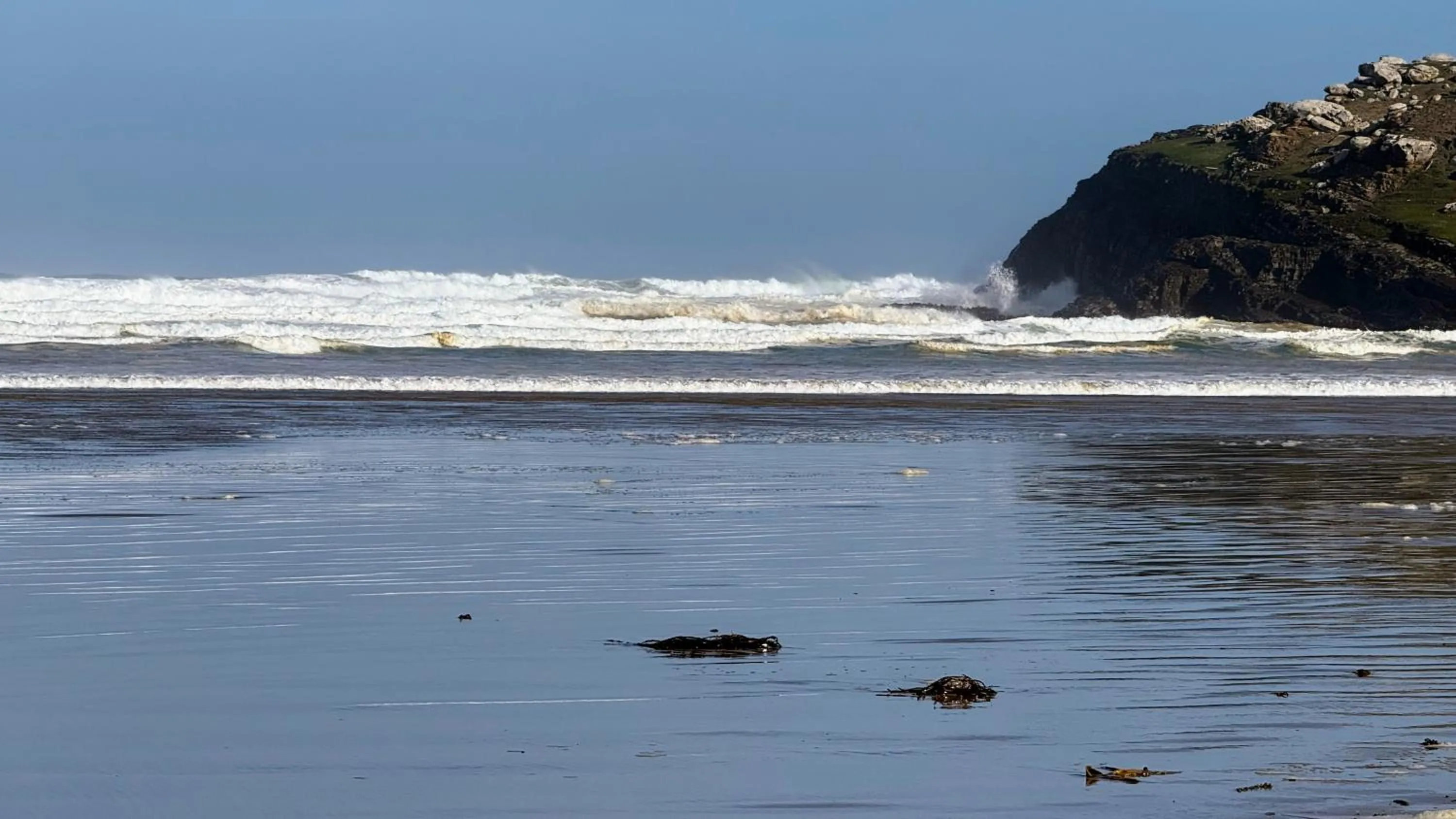 Off site in Mohua Park - Catlins Eco Accommodation