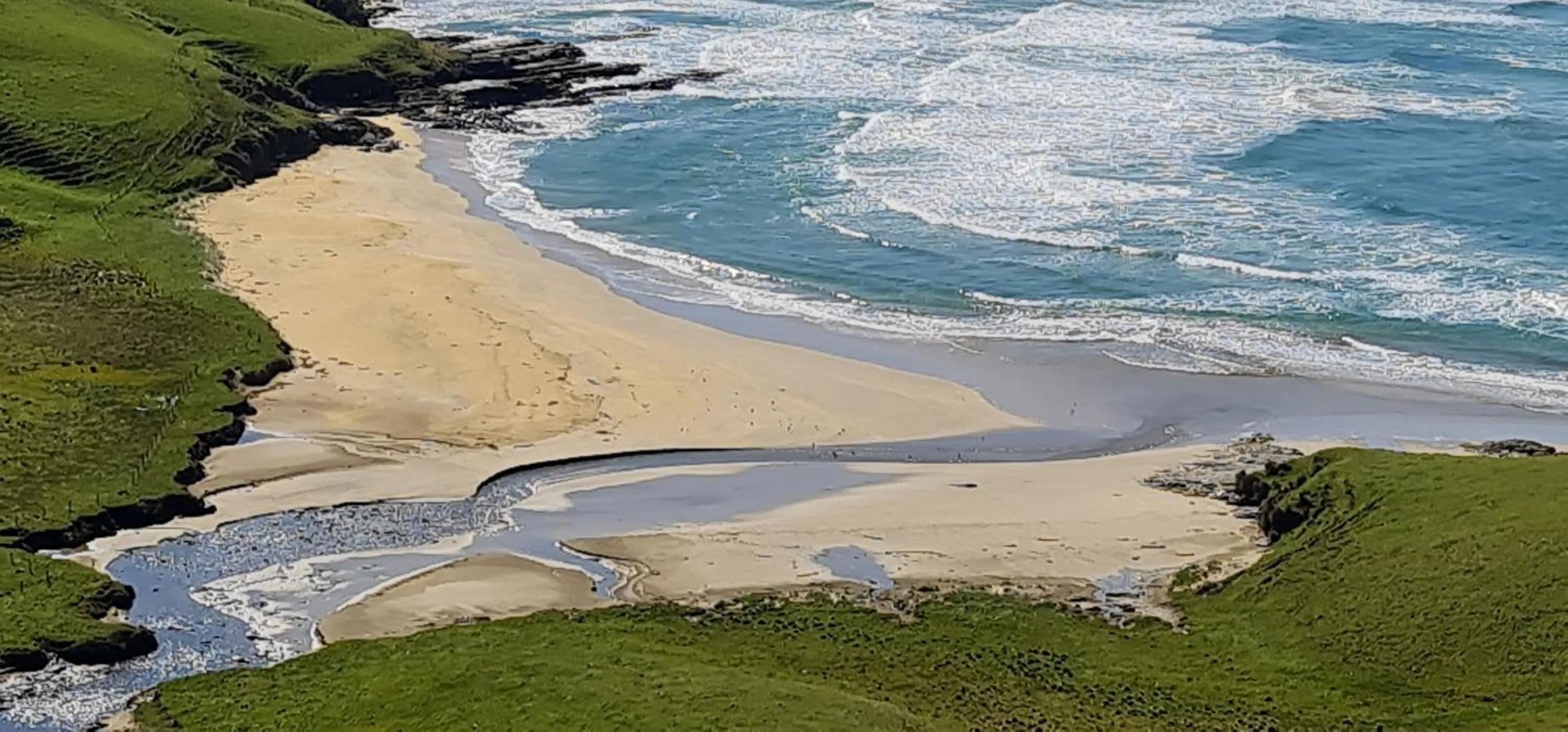 Off site in Mohua Park - Catlins Eco Accommodation