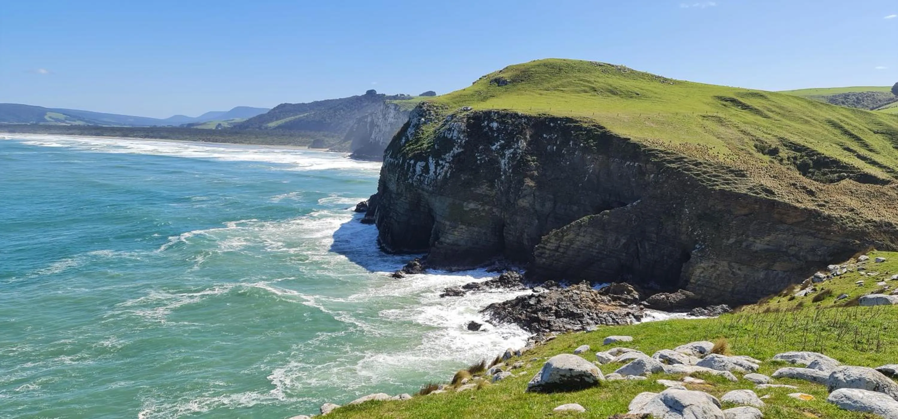 Nearby landmark in Mohua Park - Catlins Eco Accommodation