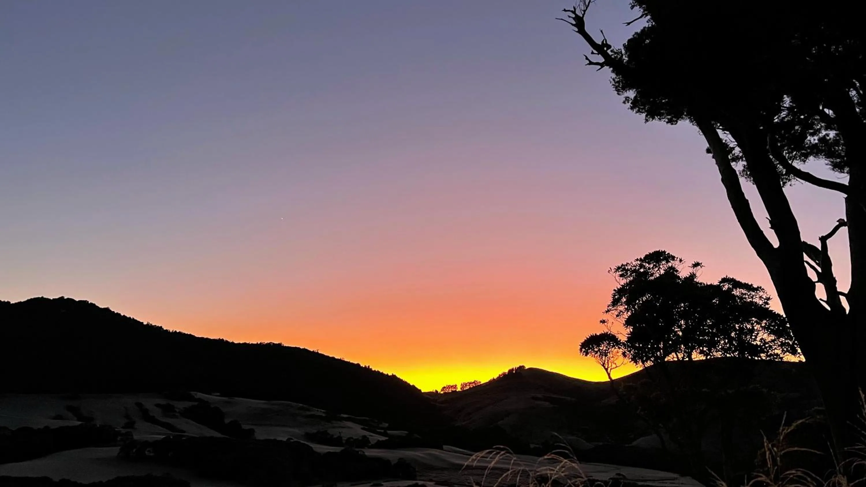 View (from property/room) in Mohua Park - Catlins Eco Accommodation