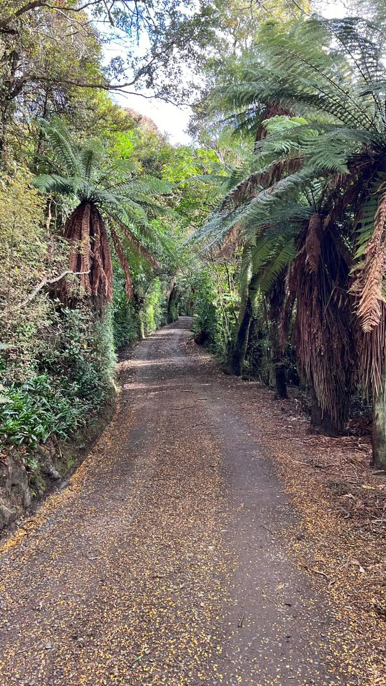 Facade/entrance in Mohua Park - Catlins Eco Accommodation