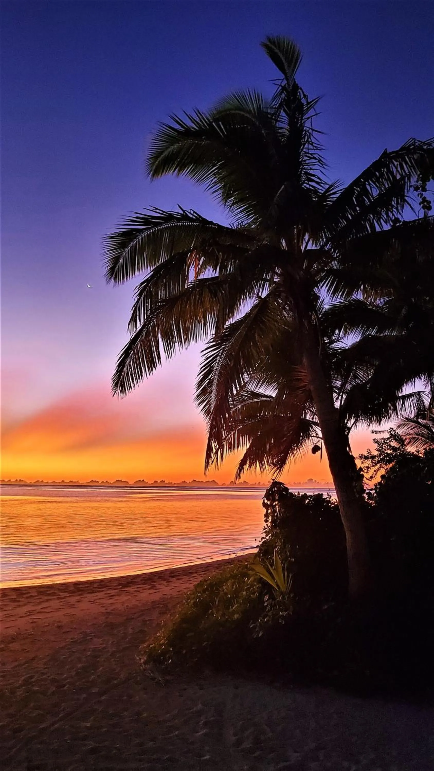 Natural landscape in Oarsman's Bay Lodge