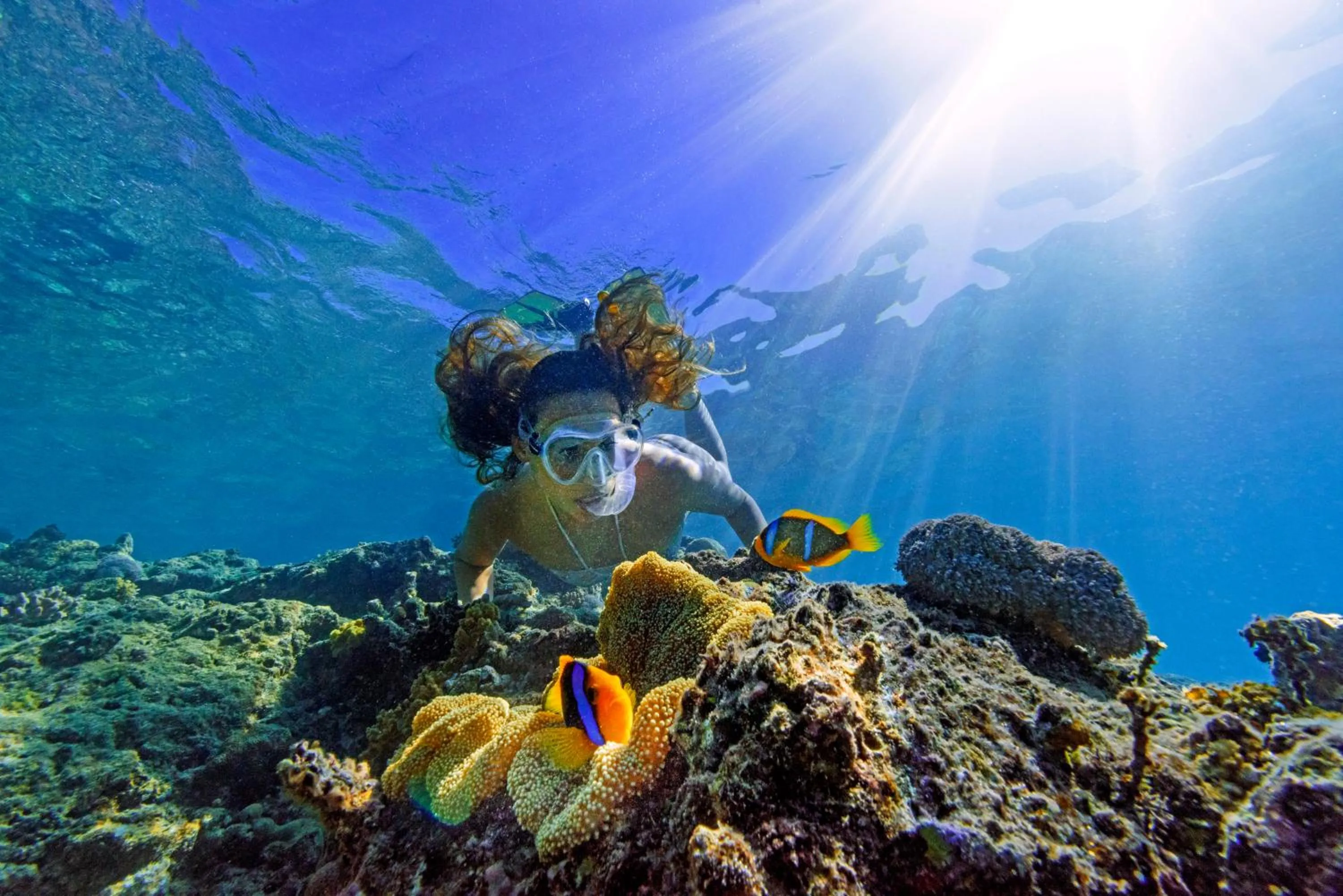 Snorkeling in Oarsman's Bay Lodge