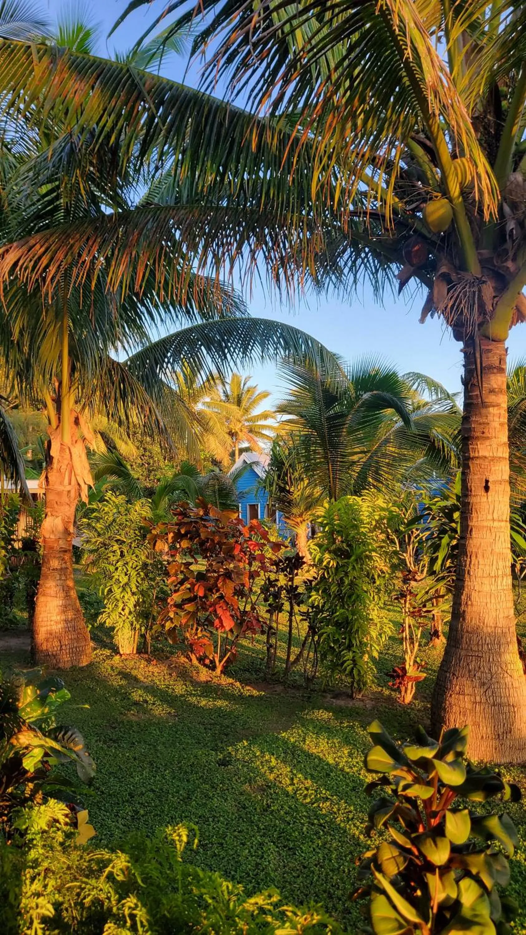 Natural landscape in Oarsman's Bay Lodge