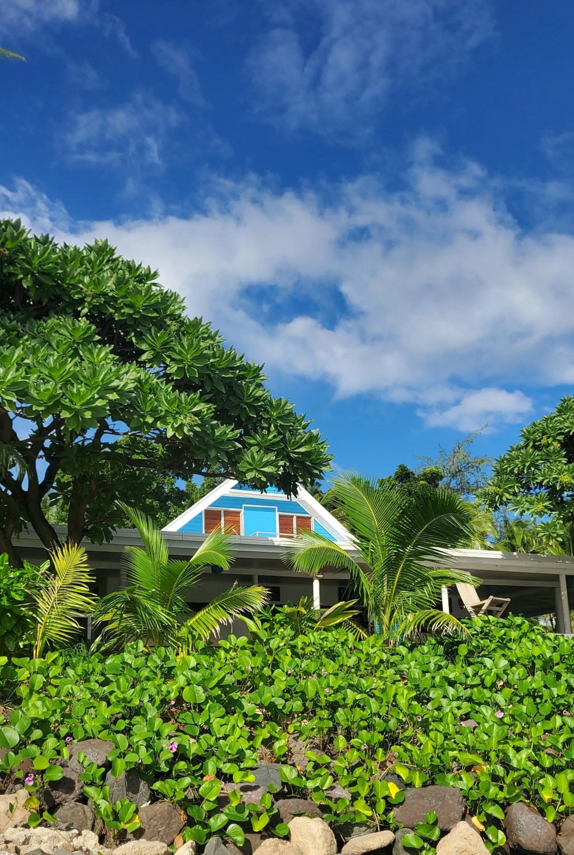 Natural landscape in Oarsman's Bay Lodge