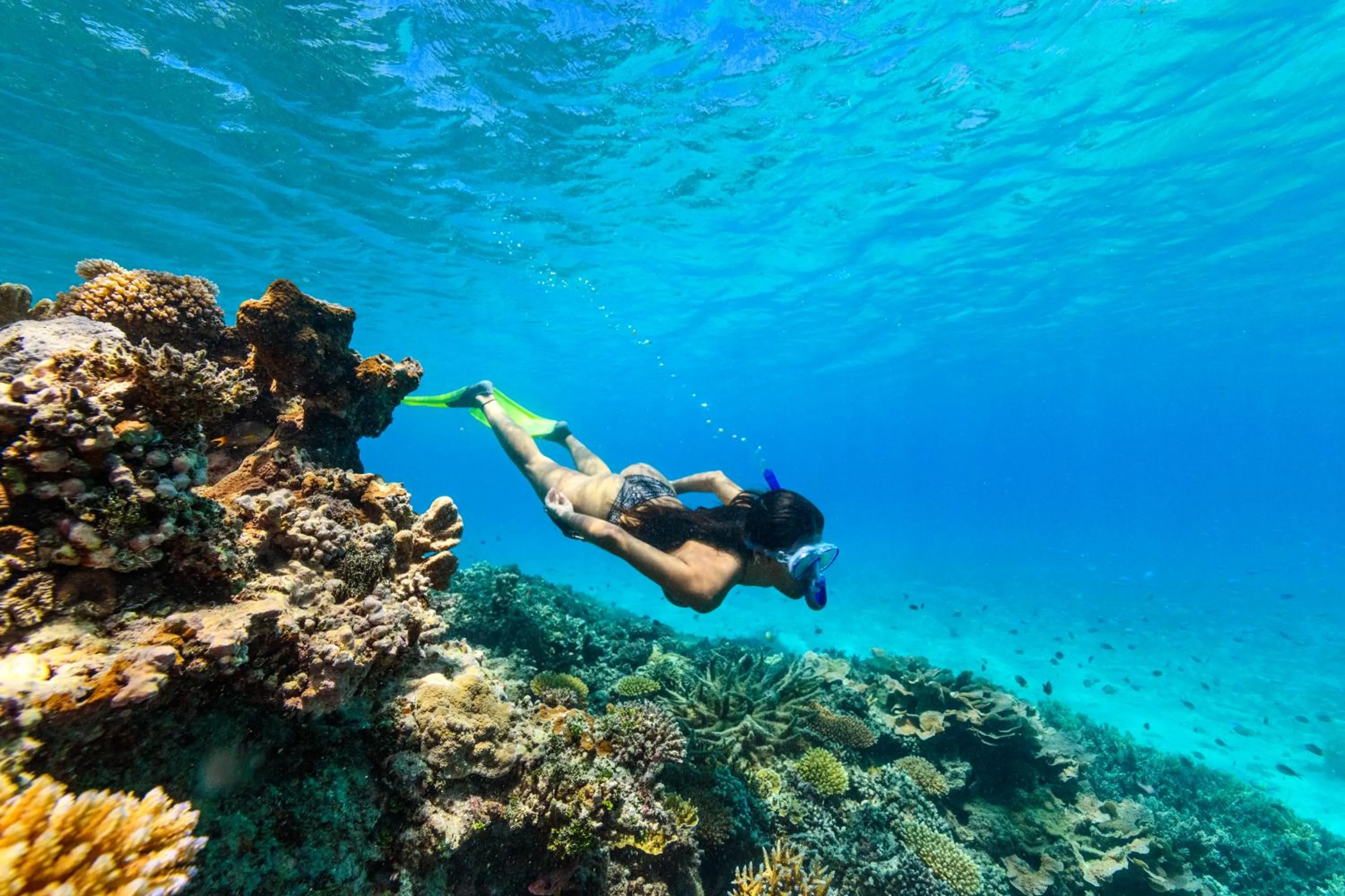 Snorkeling in Oarsman's Bay Lodge