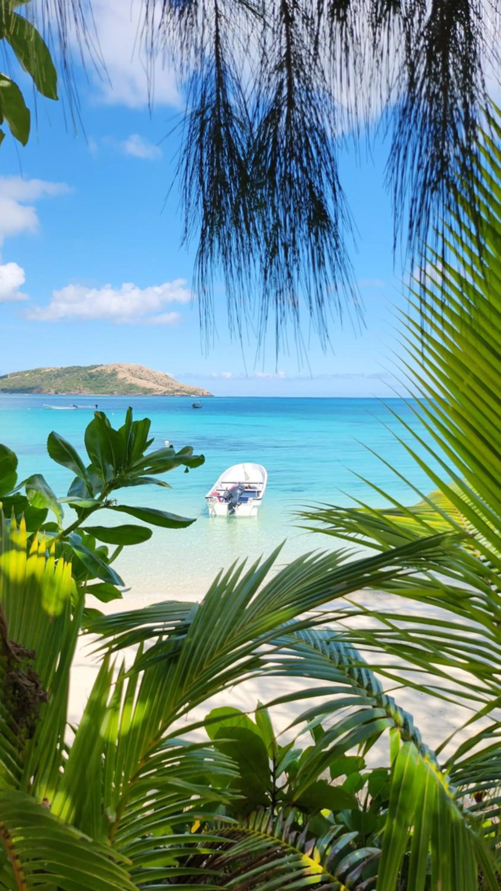 View (from property/room) in Oarsman's Bay Lodge