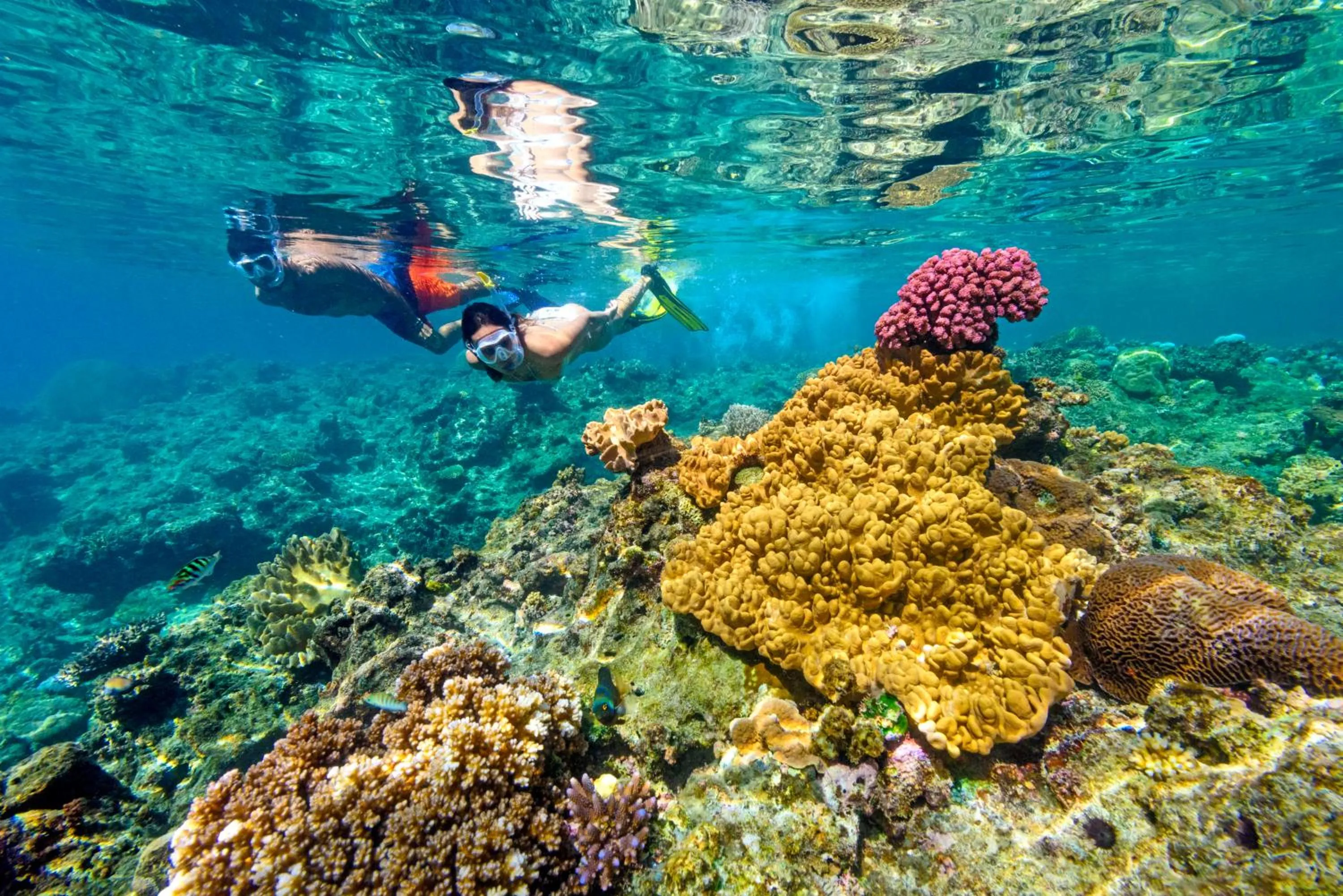 Snorkeling in Oarsman's Bay Lodge