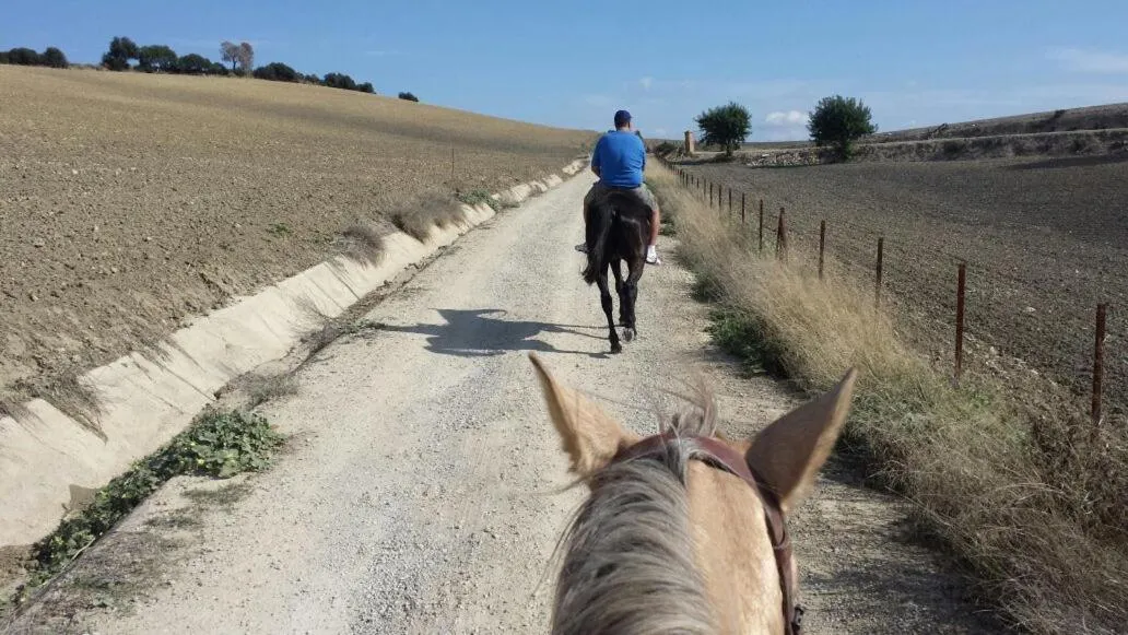 Horse-riding in Mesón de la Molinera