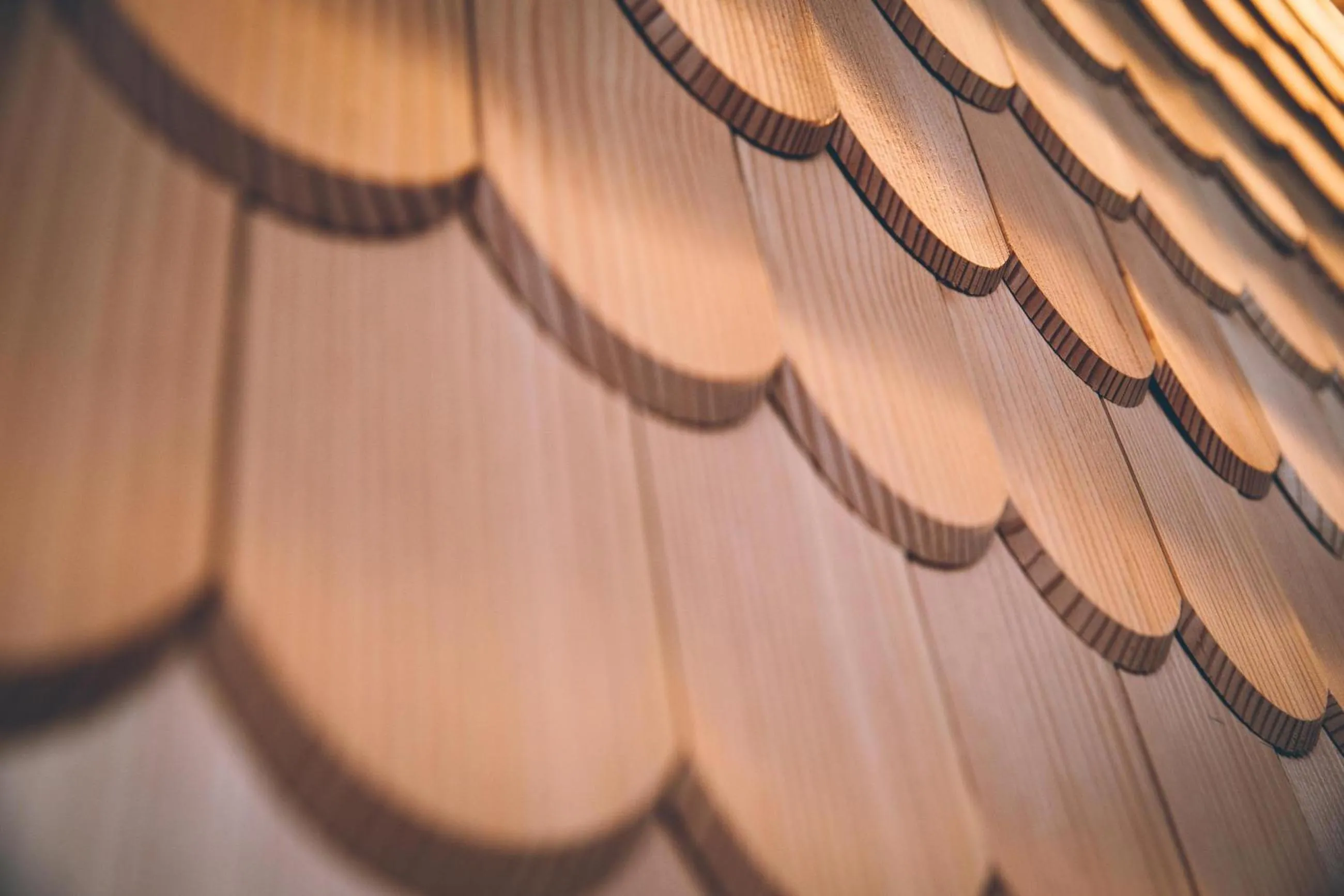 Property building in Residence Langes