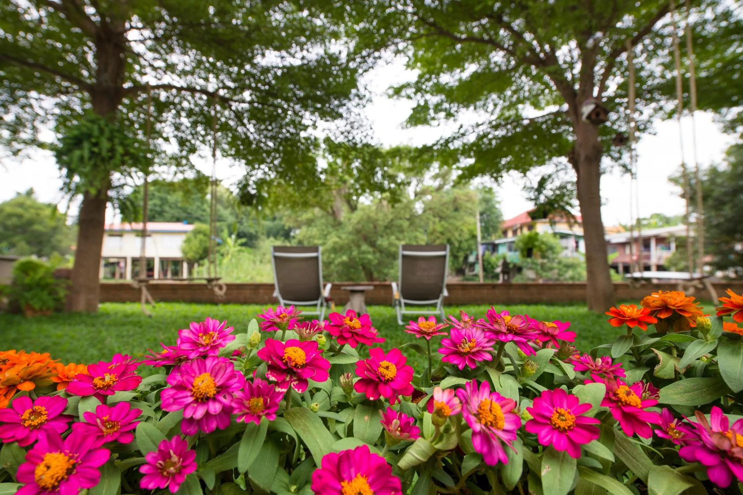 Garden in Phuttal Residence