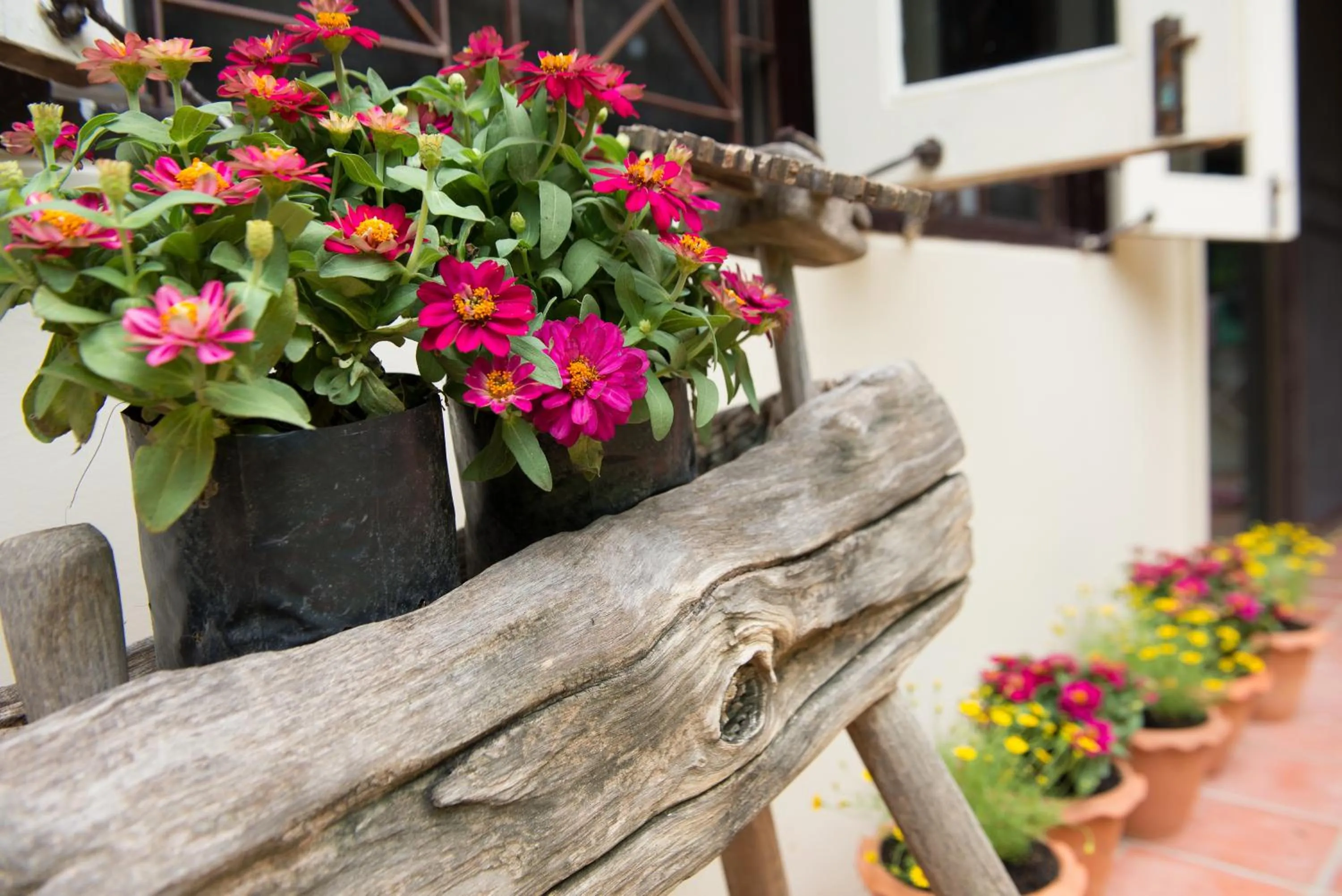 Patio in Phuttal Residence