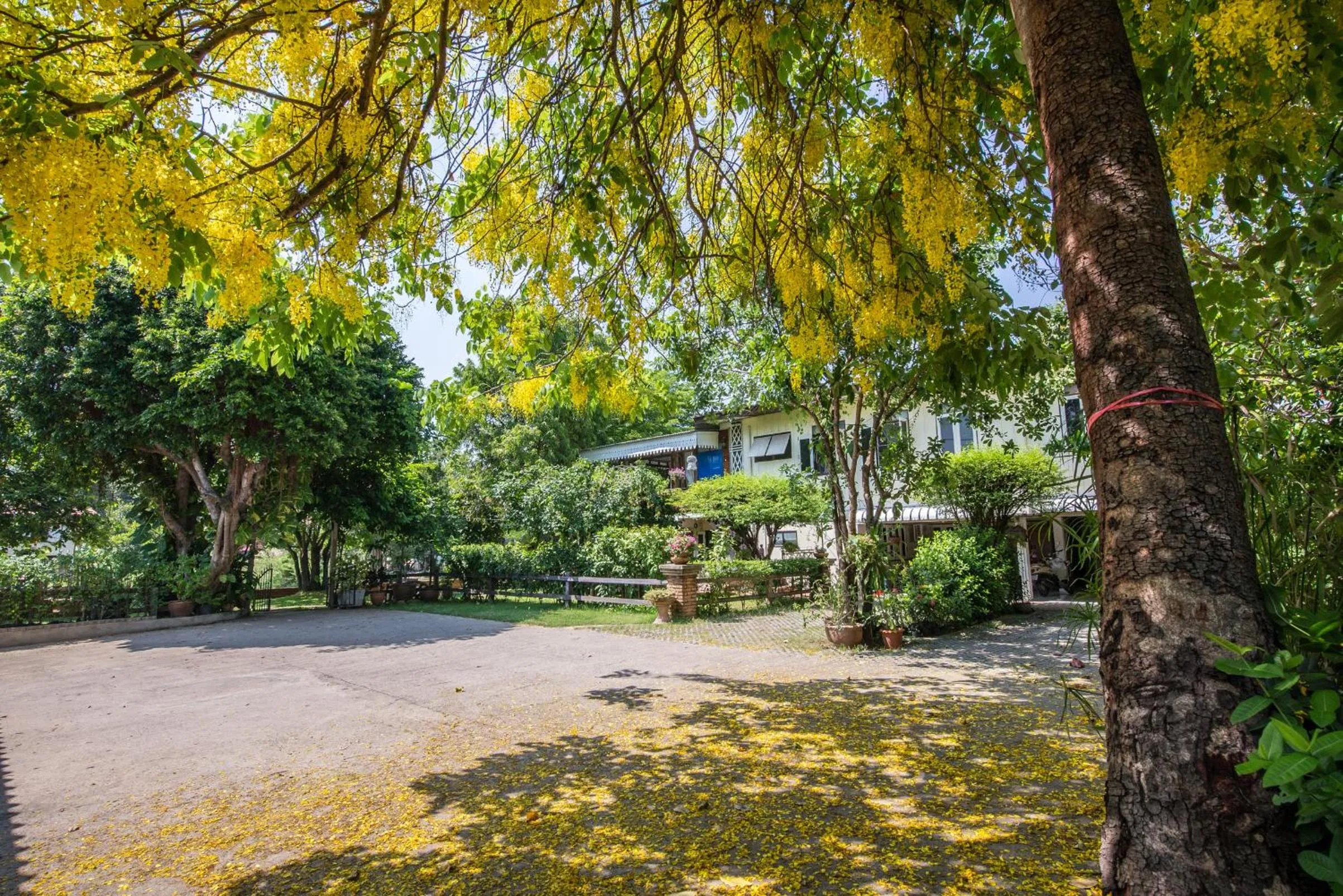 Property building in Phuttal Residence