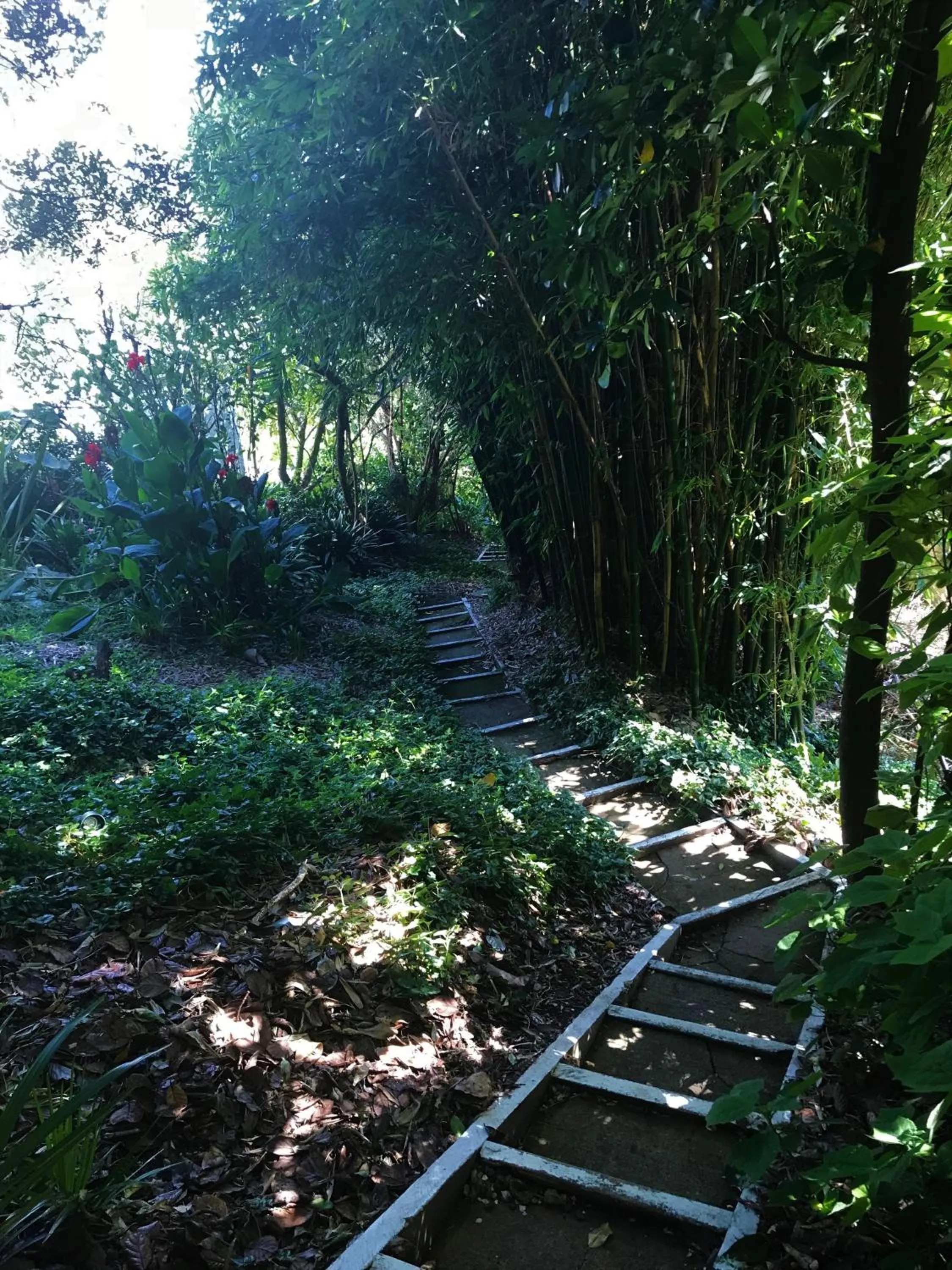 Facade/entrance in Palm Heights