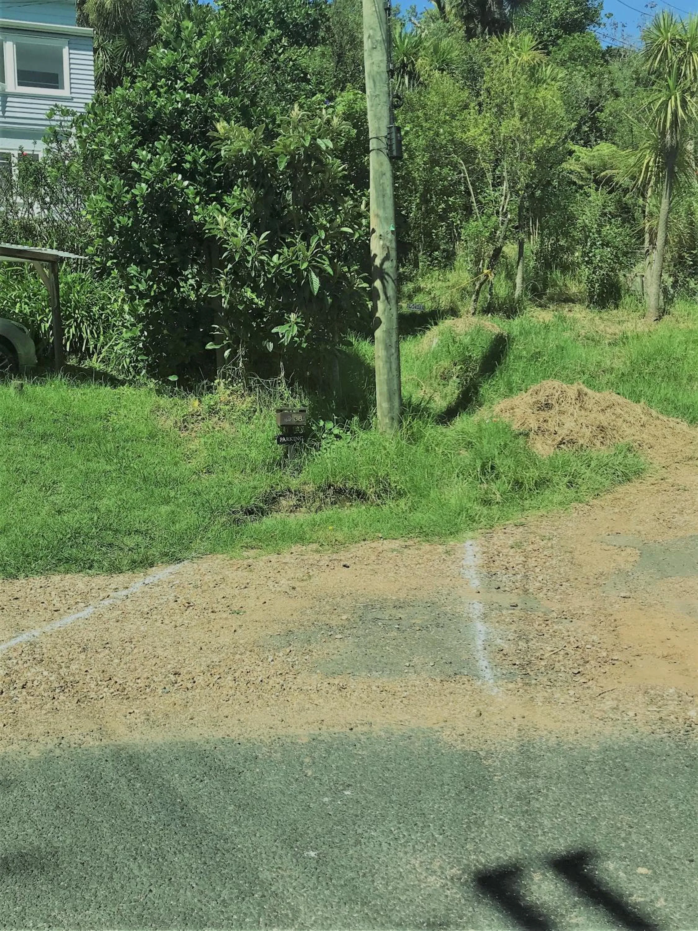 Neighbourhood in Palm Heights