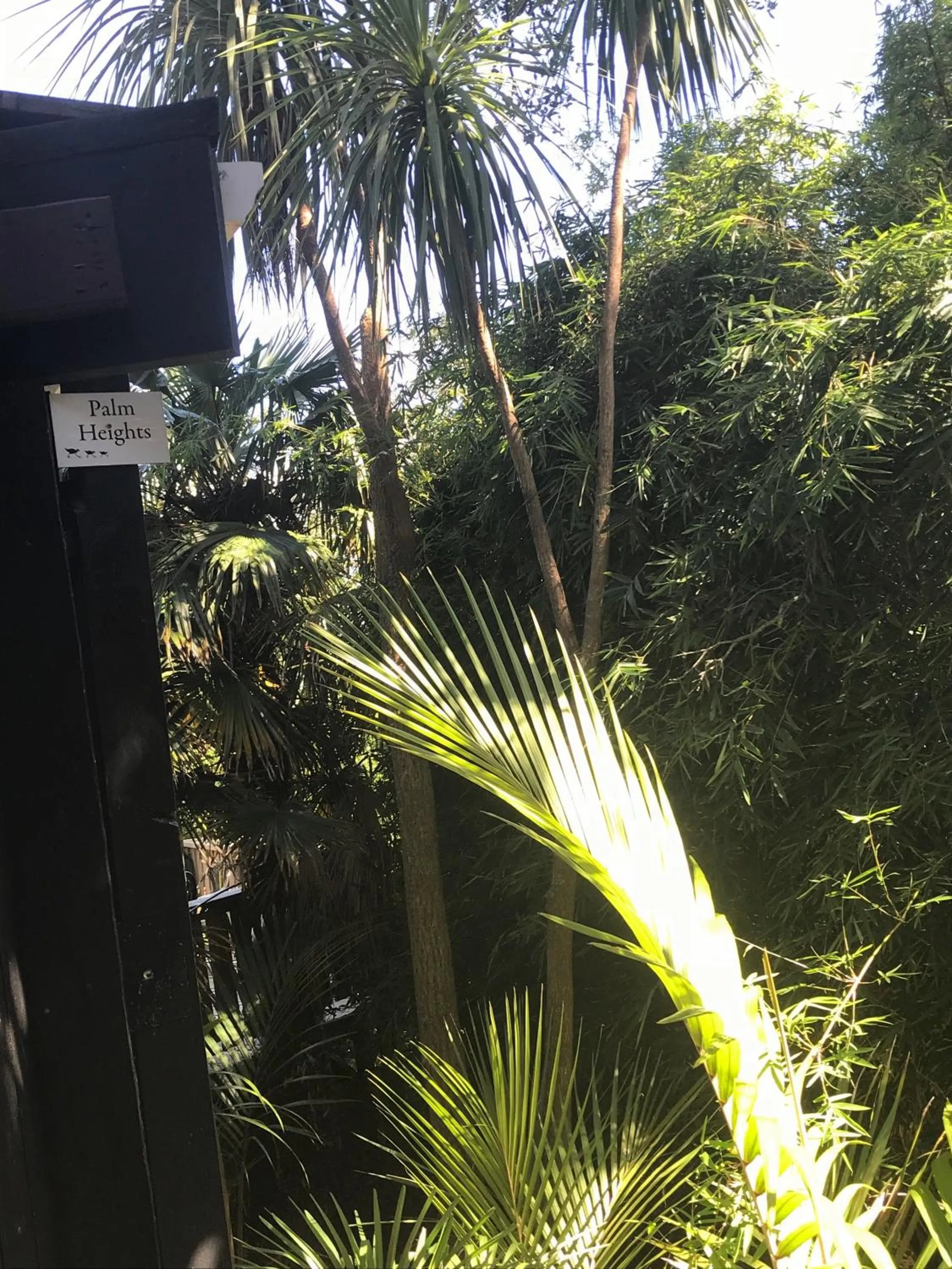 Facade/entrance in Palm Heights