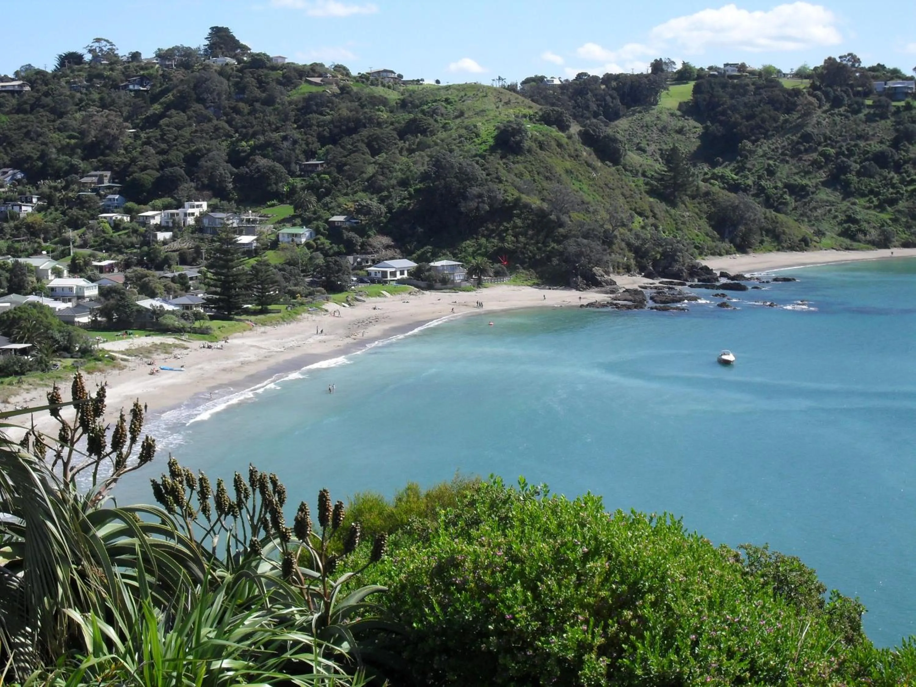 Beach in Palm Heights