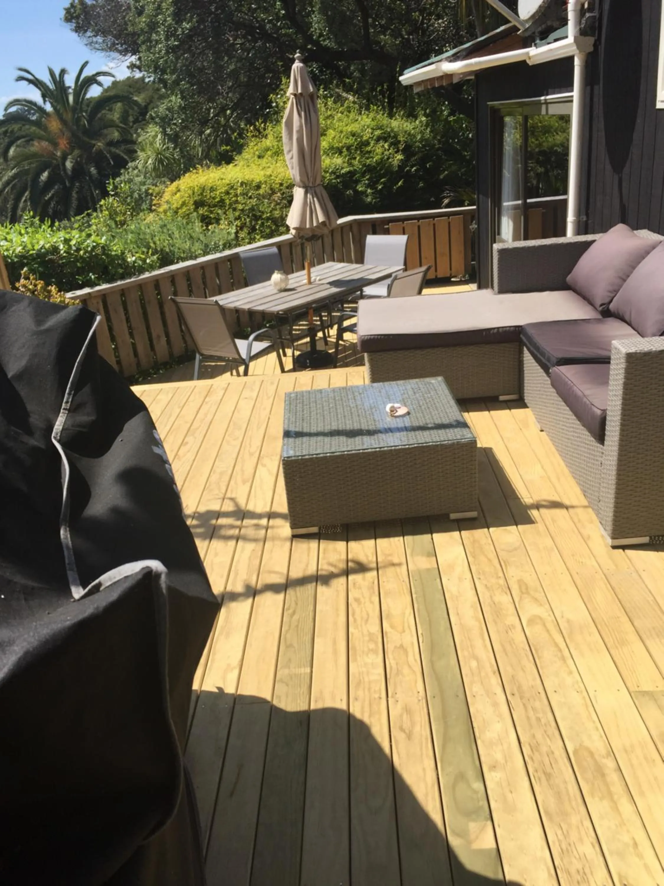 Patio in Palm Heights