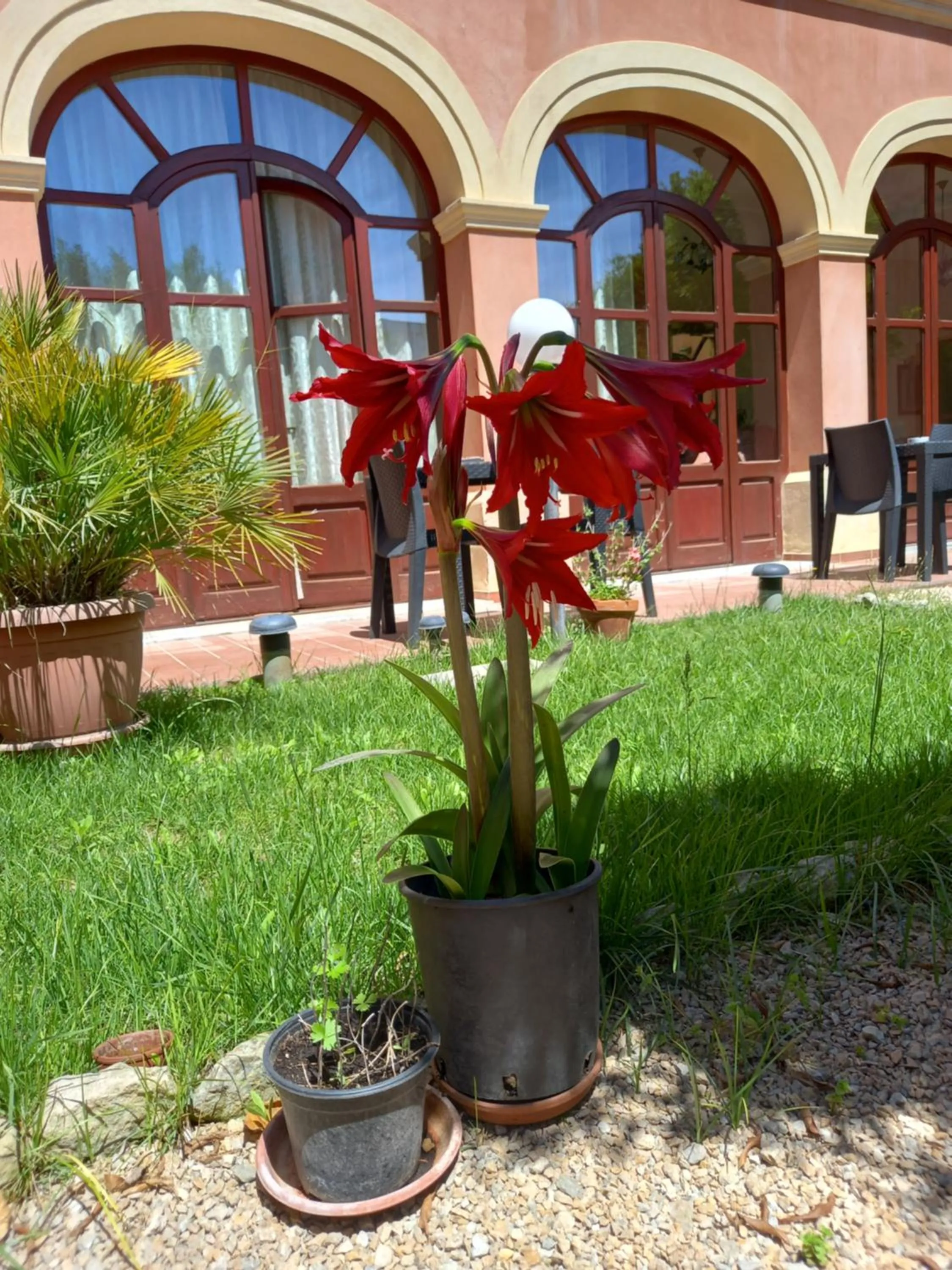 B&B Antica Villa
