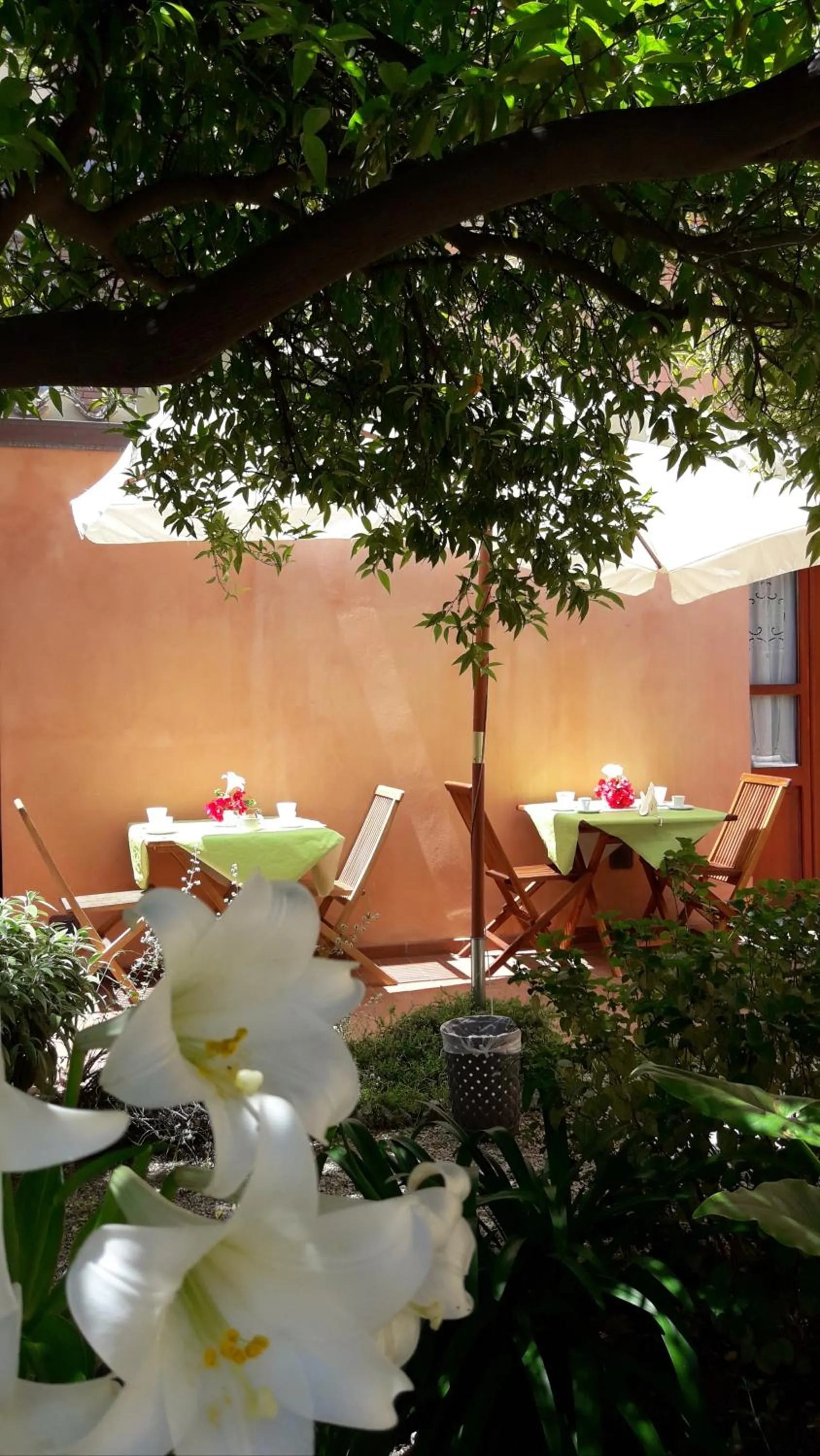 B&B Antica Villa