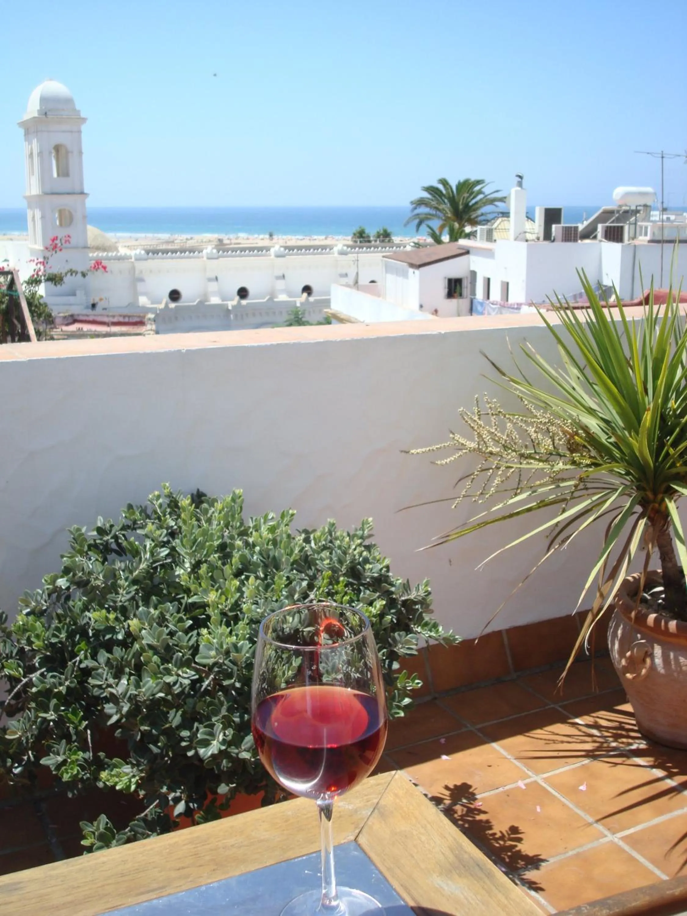 Day in Almadraba Conil