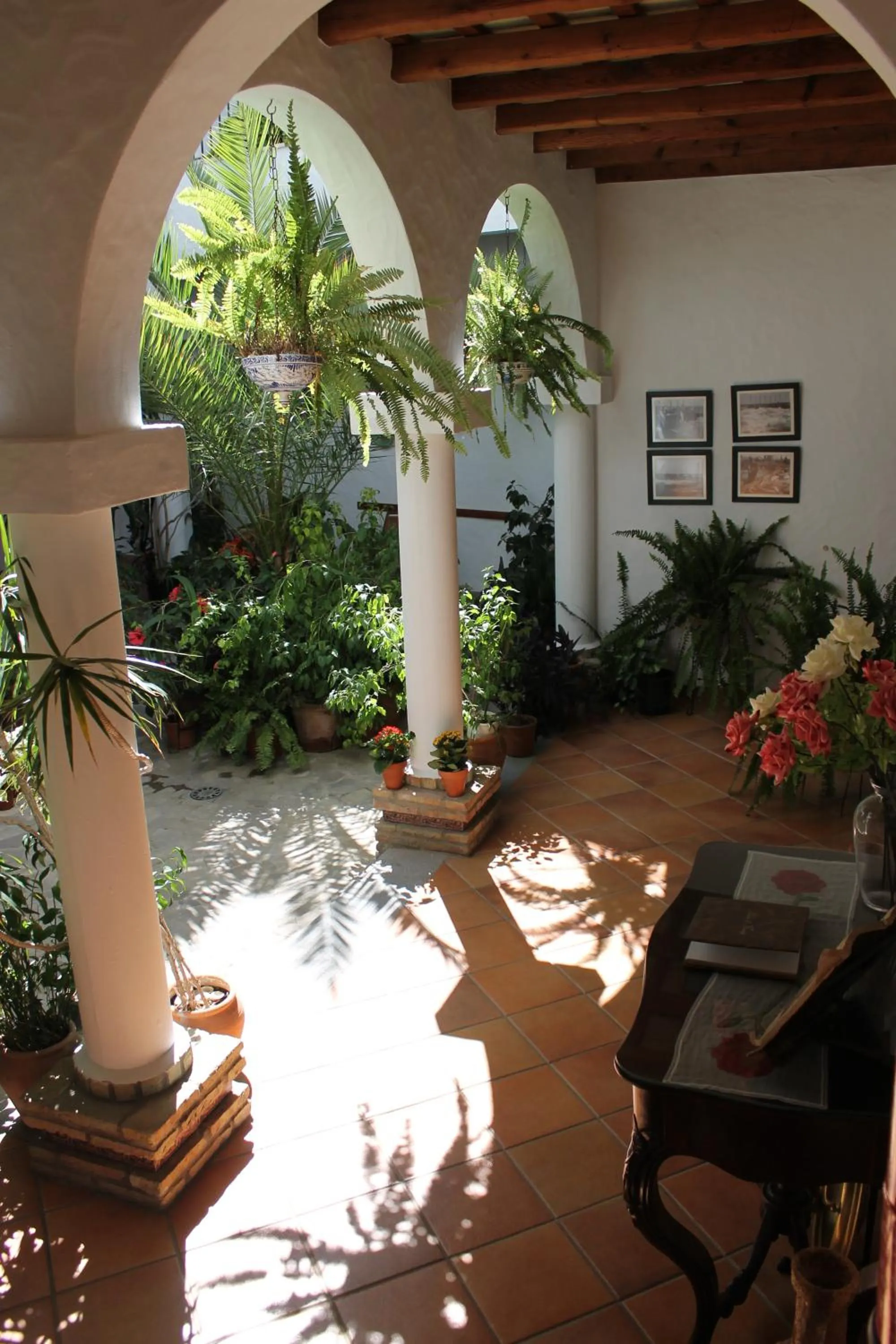 Patio in Almadraba Conil