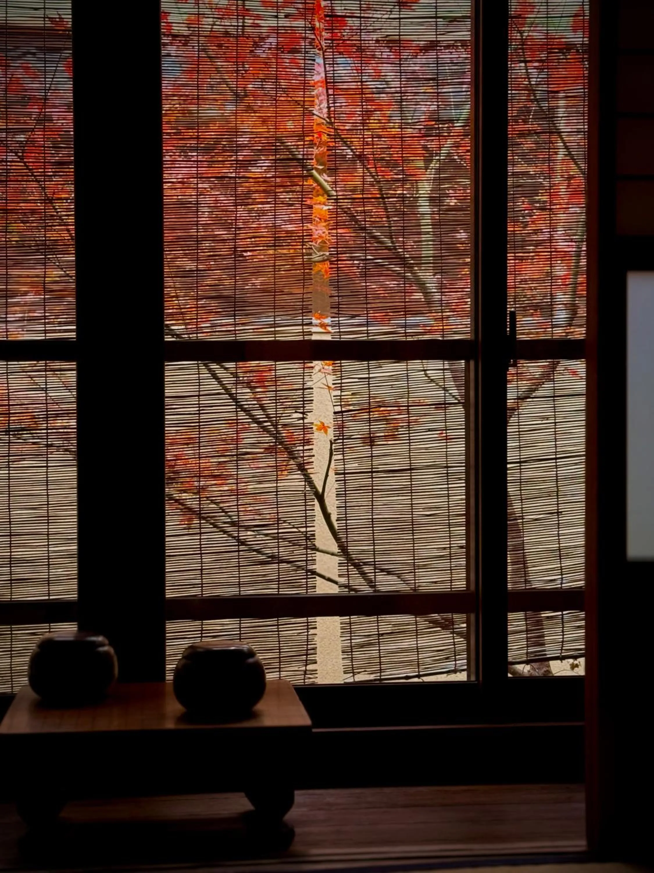 Garden view in Ryokan Tori