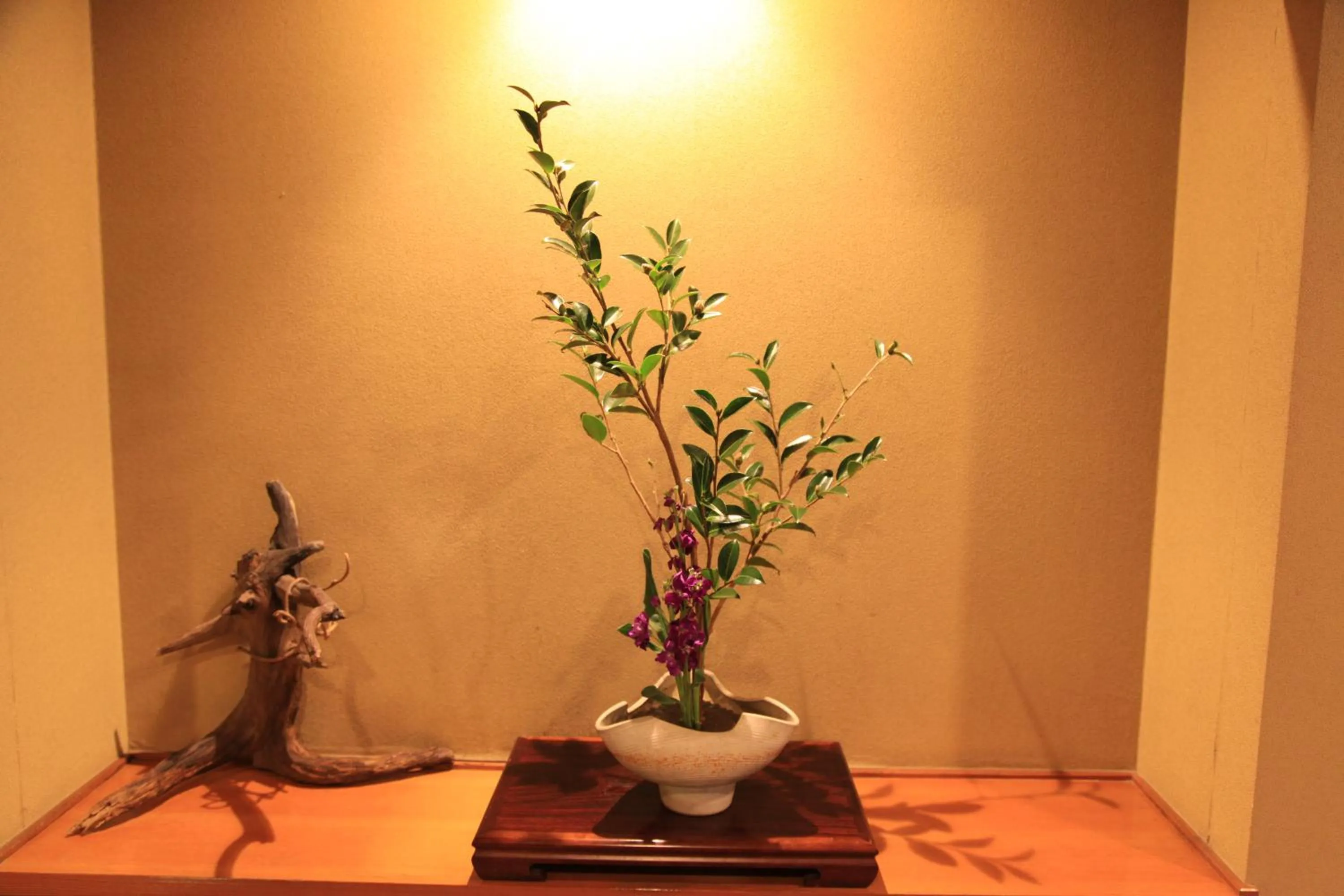 Area and facilities in Hotel New Kotobuki