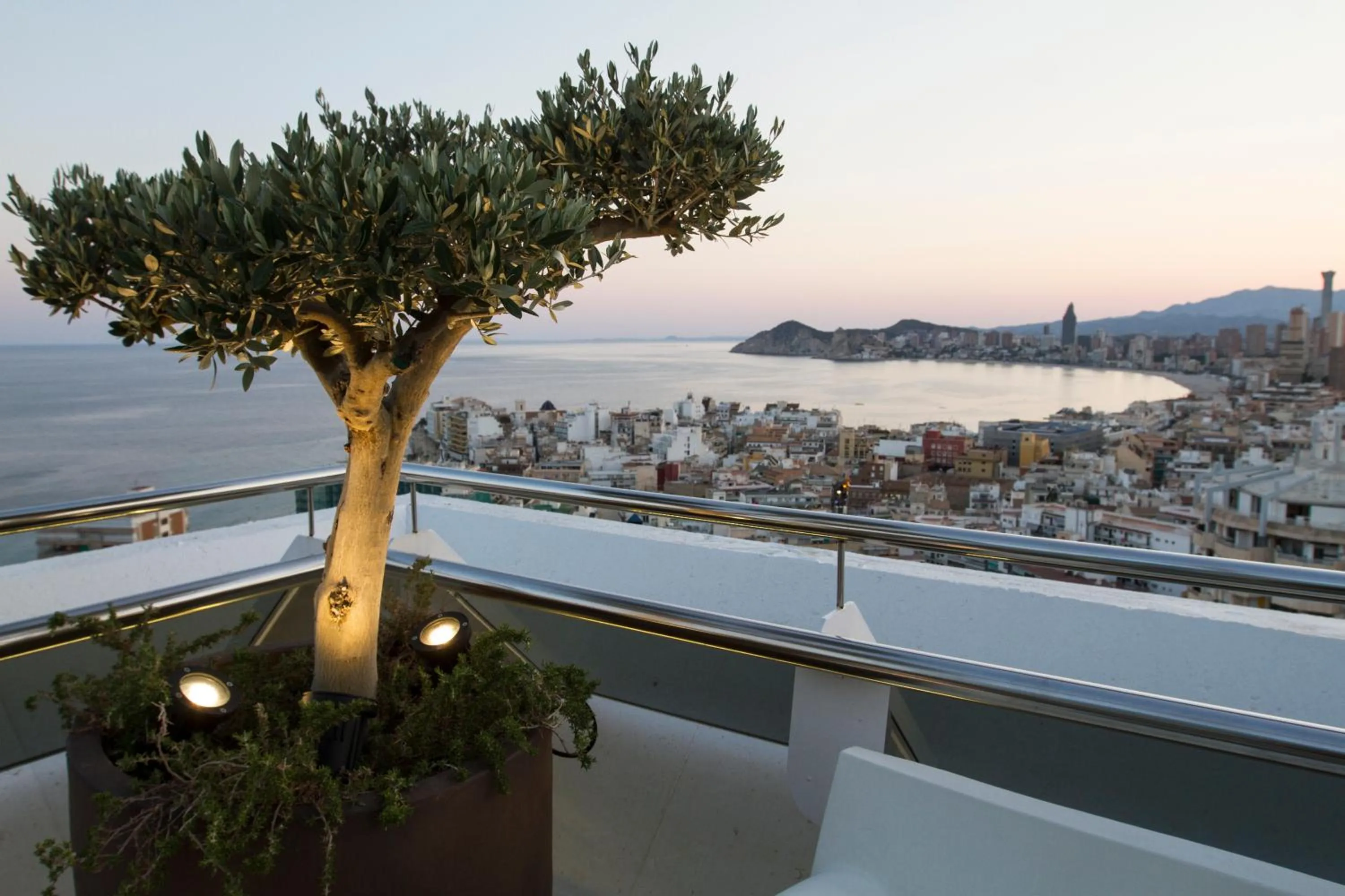 Restaurant/places to eat in Hotel Madeira Centro