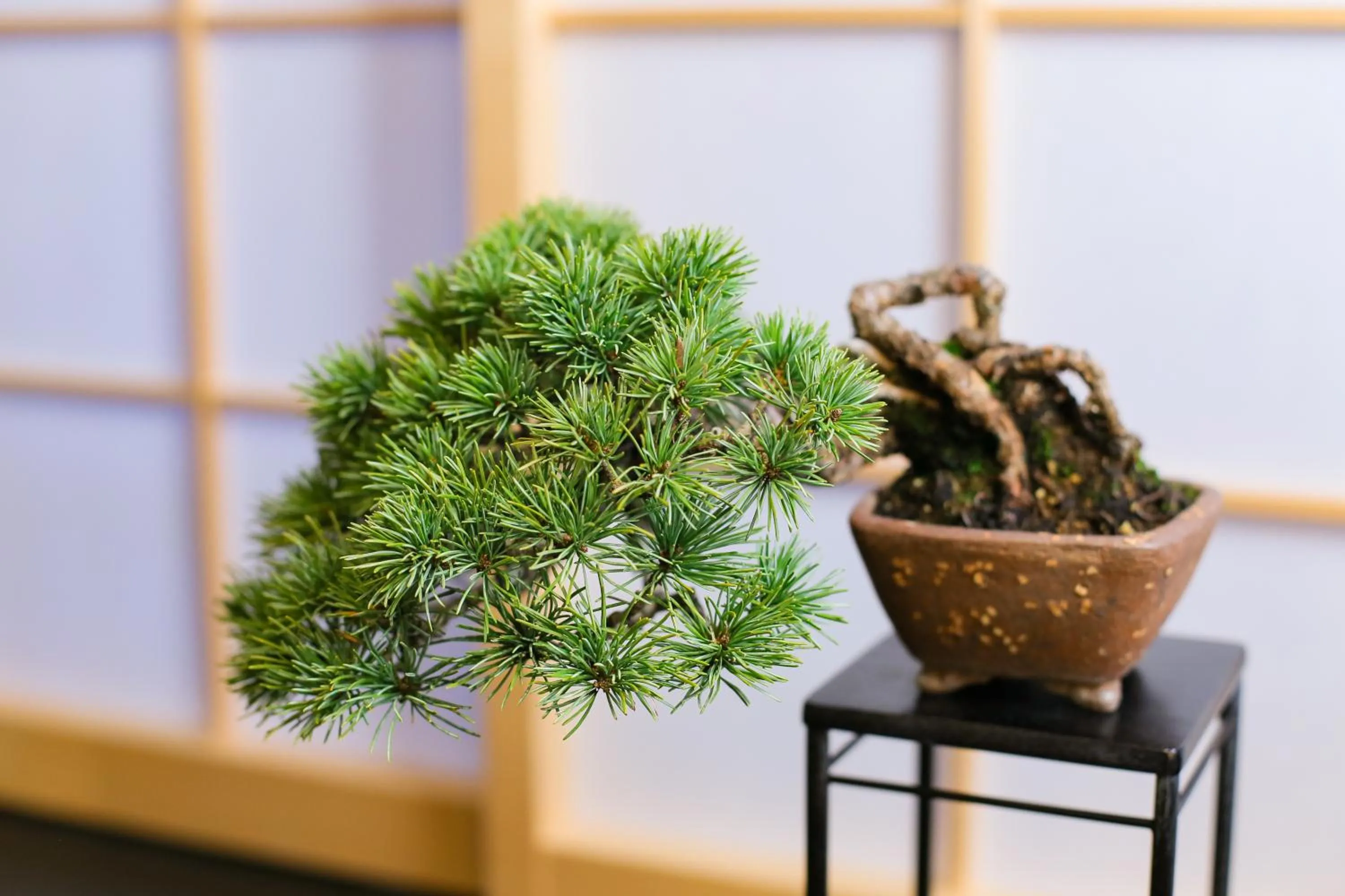 Decorative detail in Kyonoyado Gekkoan