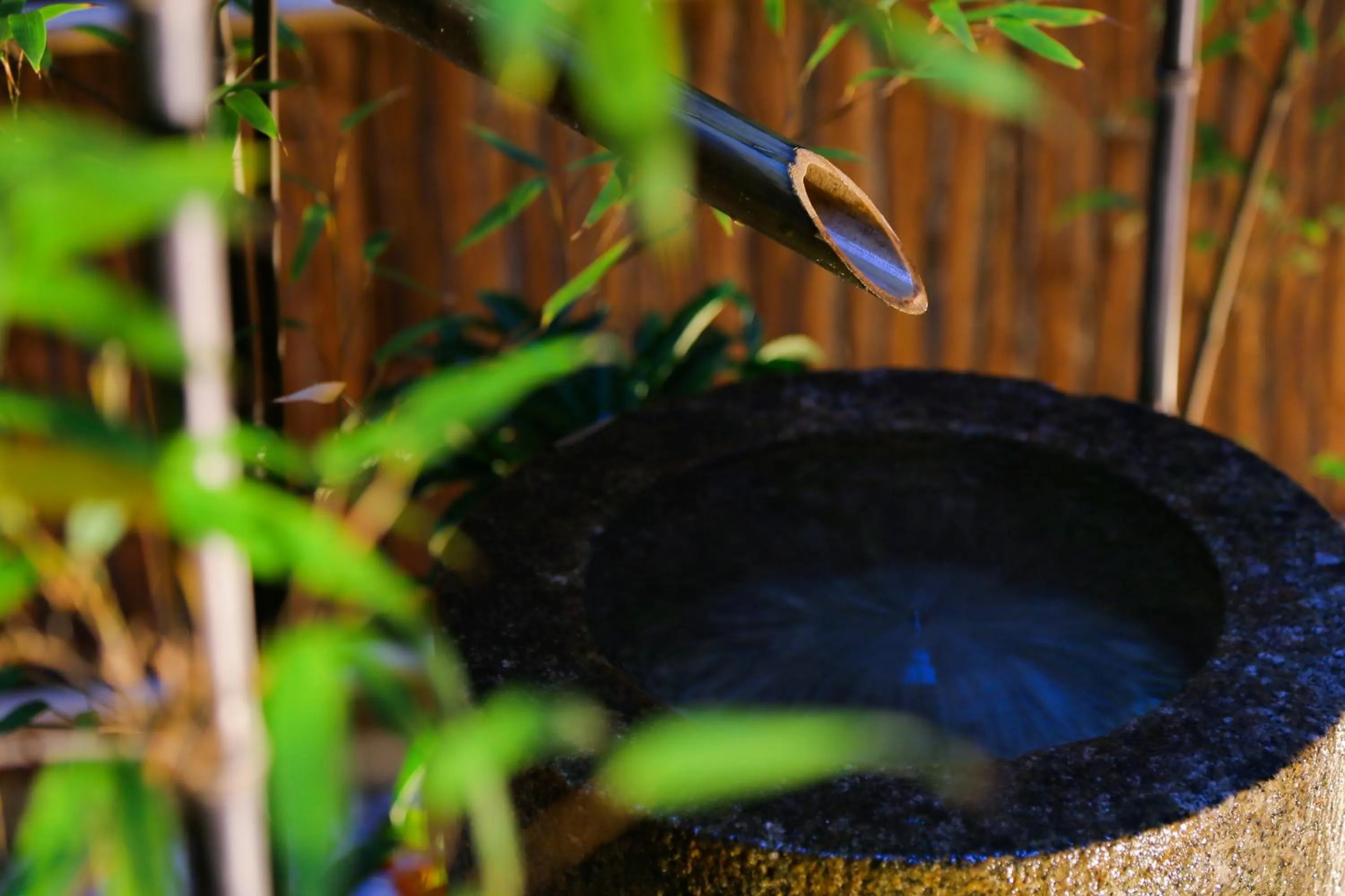 Garden in Kyonoyado Gekkoan