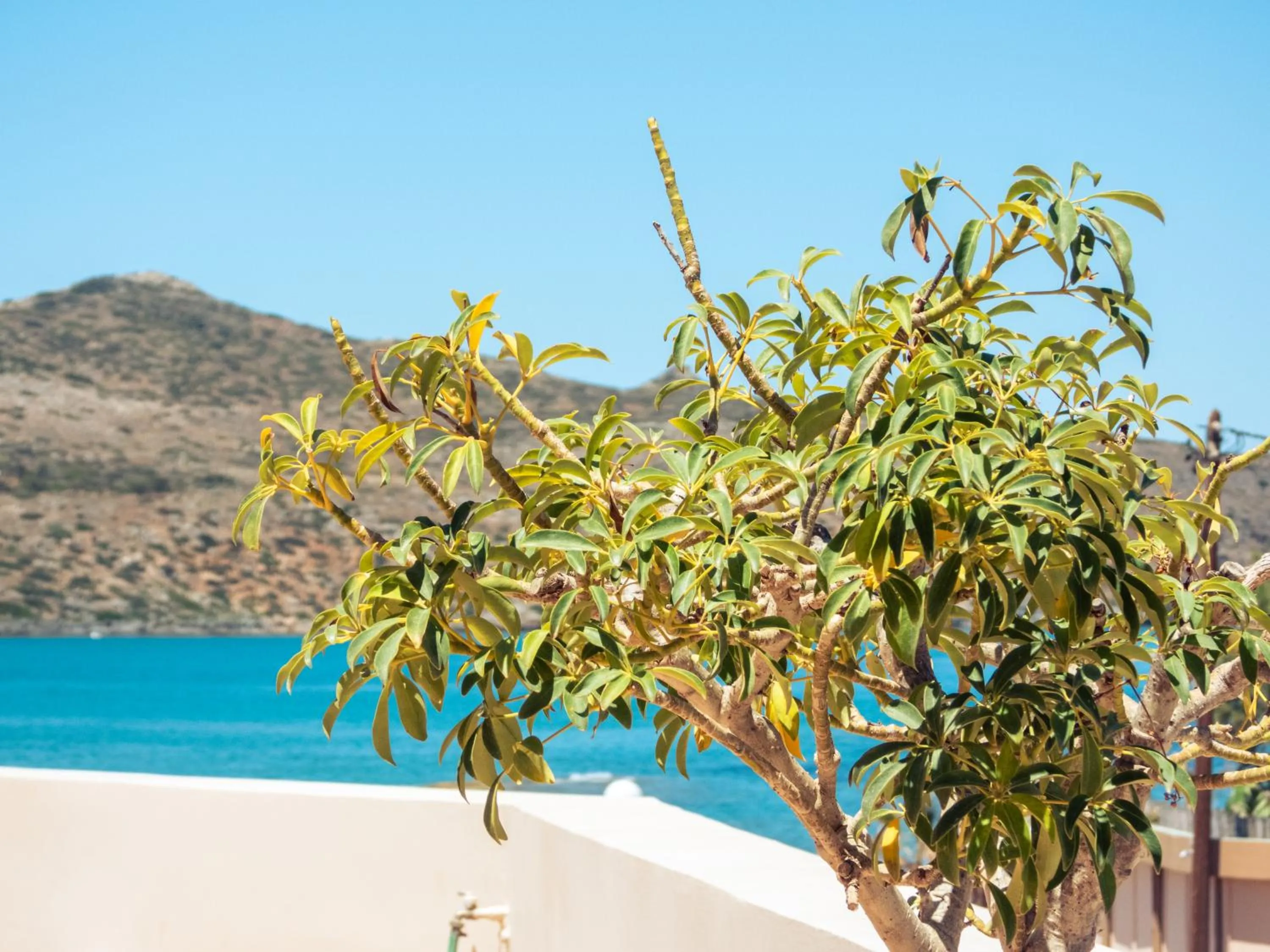 Sea view in Chrispy Beach Resort, Agia Marina