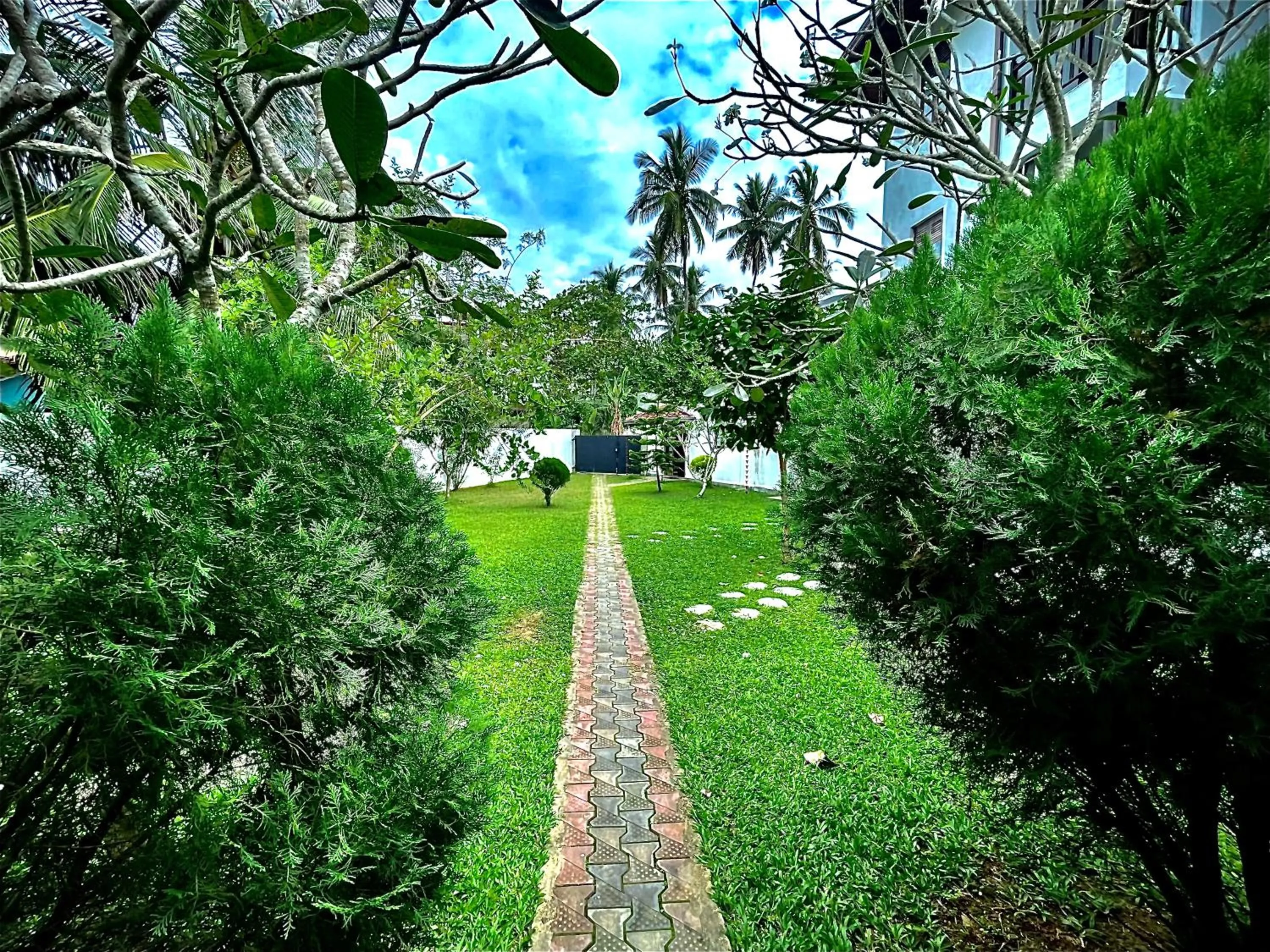 Garden view in Lagoon Boutique Hotel