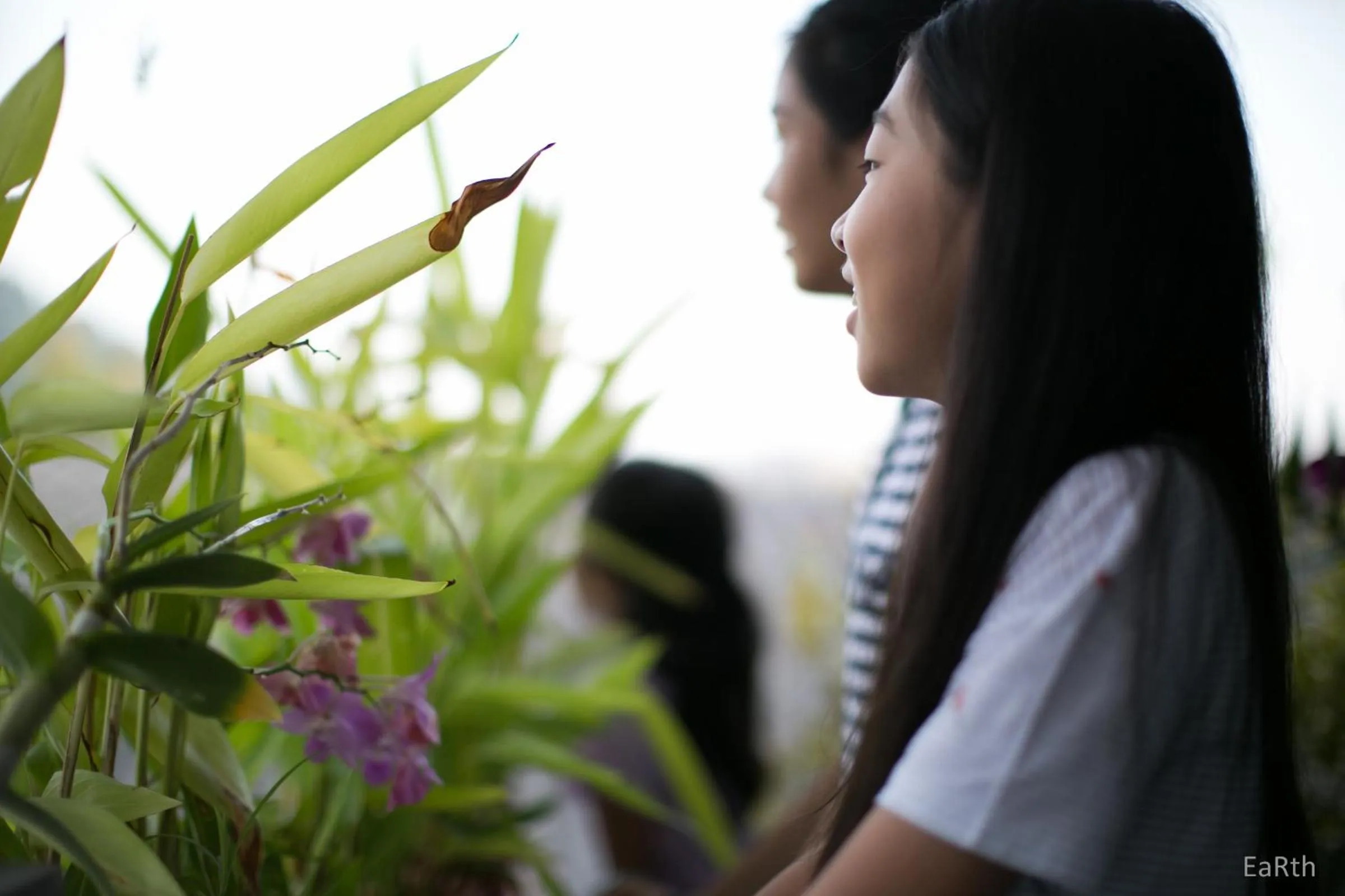 Other in Pakta Phuket - SHA PLUS