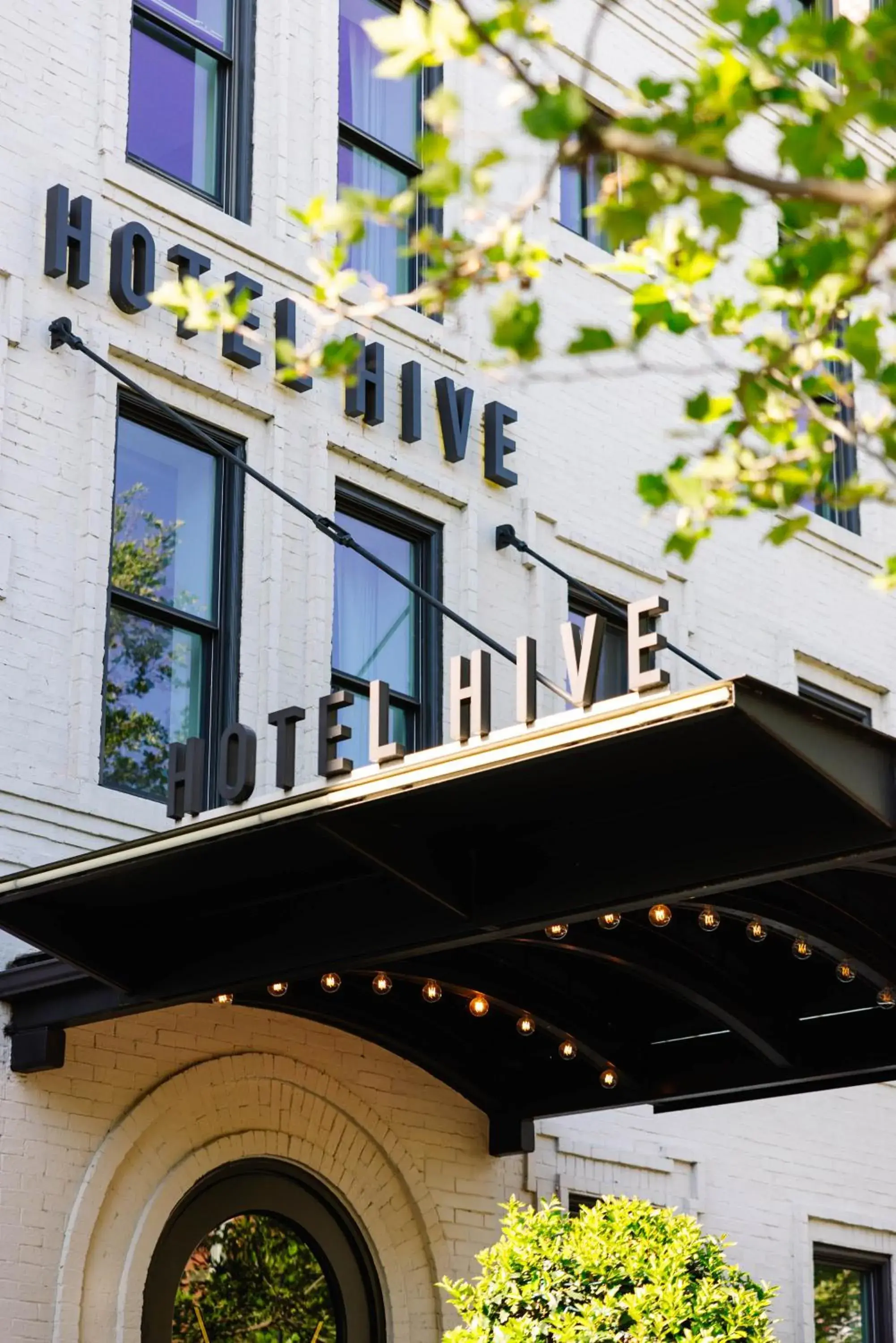 Property building in Hotel Hive Property building in Hotel Hive