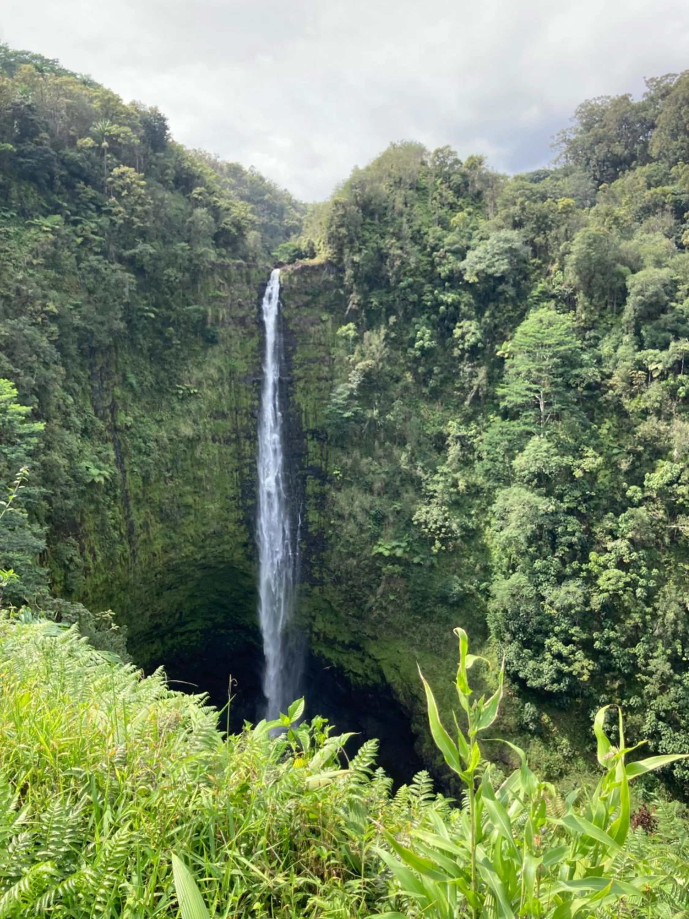 Activities in Hilo Bay Oceanfront Bed and Breakfast