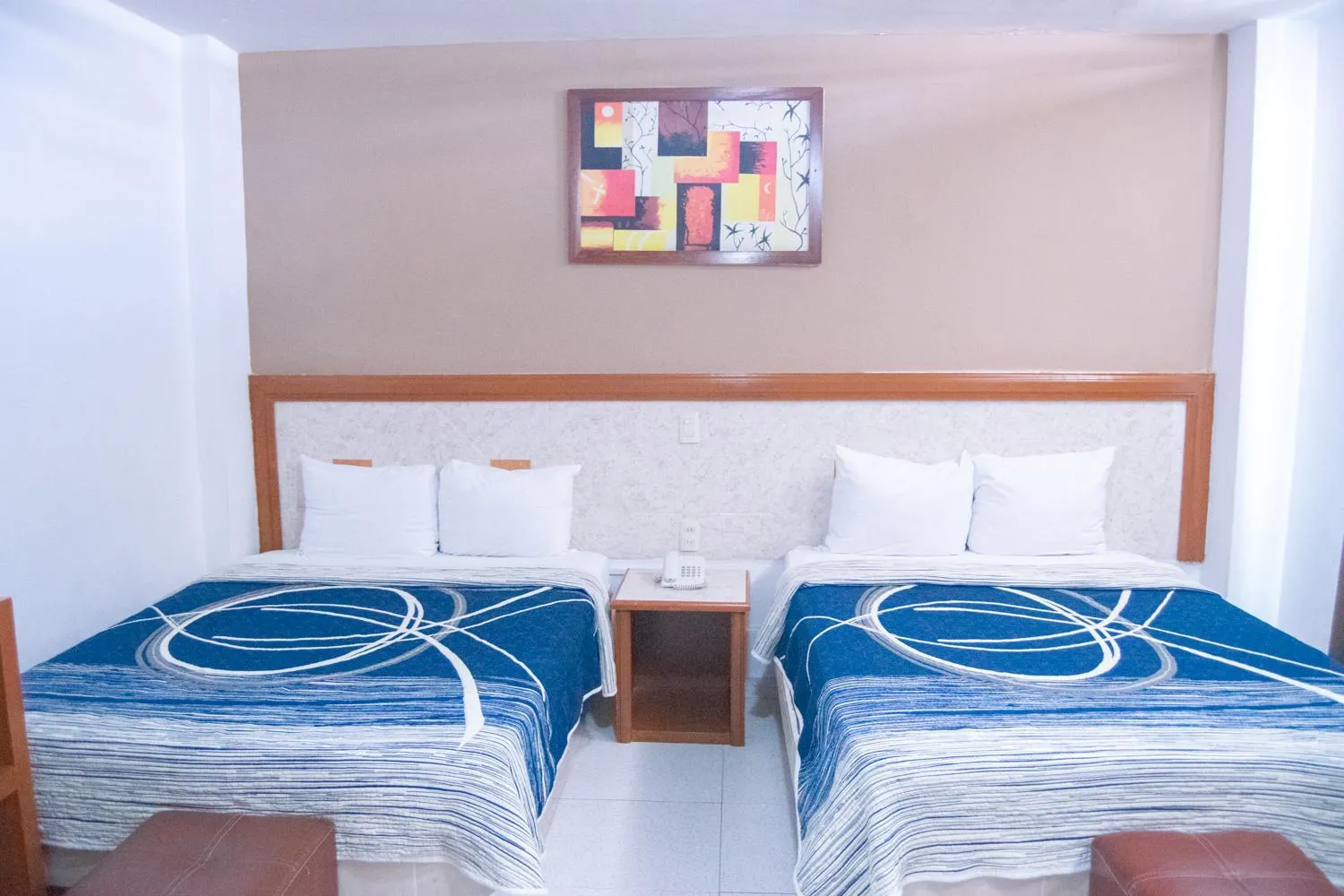 Photo of the whole room in Hotel Niza Zona Piel