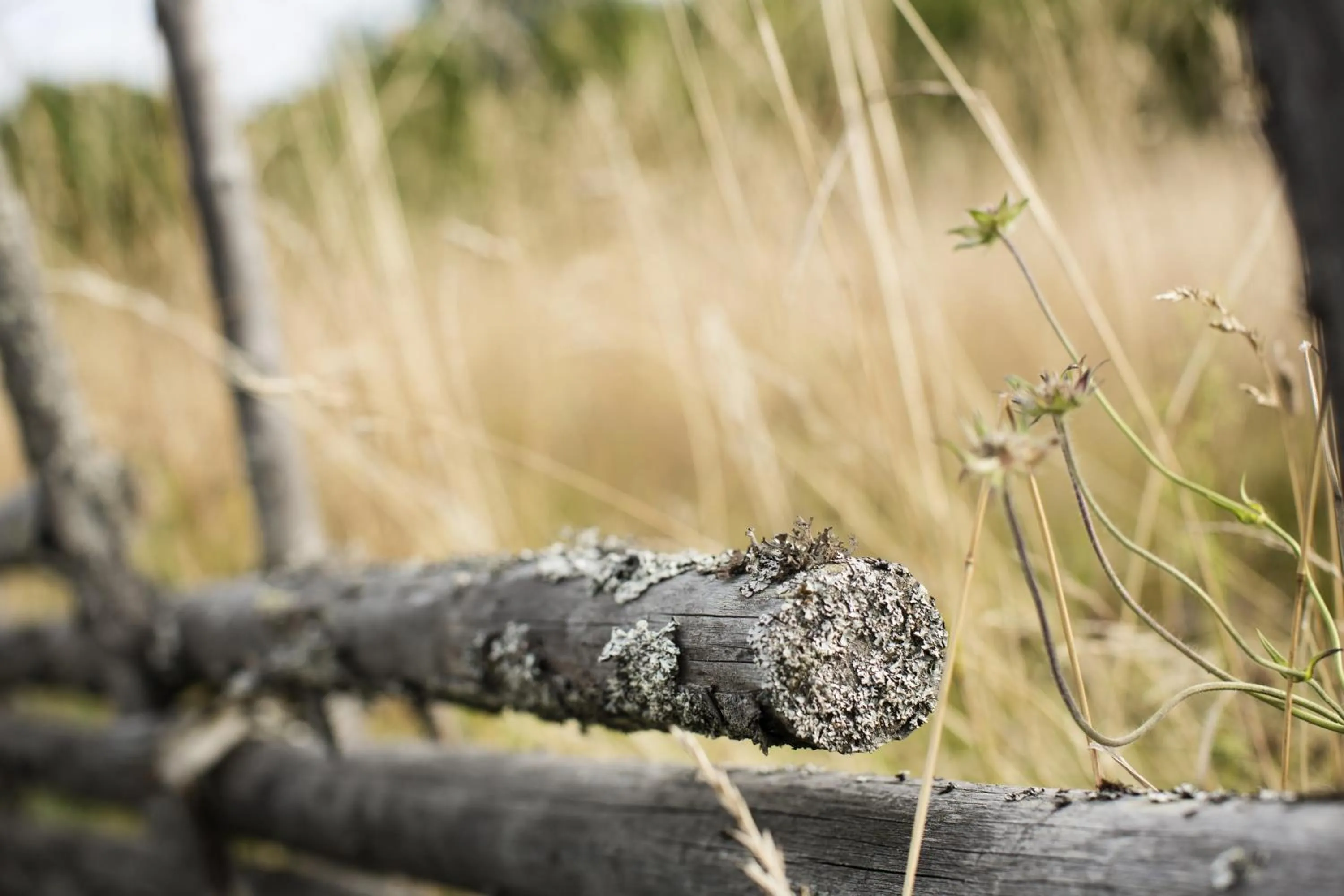 Natural landscape in Hotell Klockargården