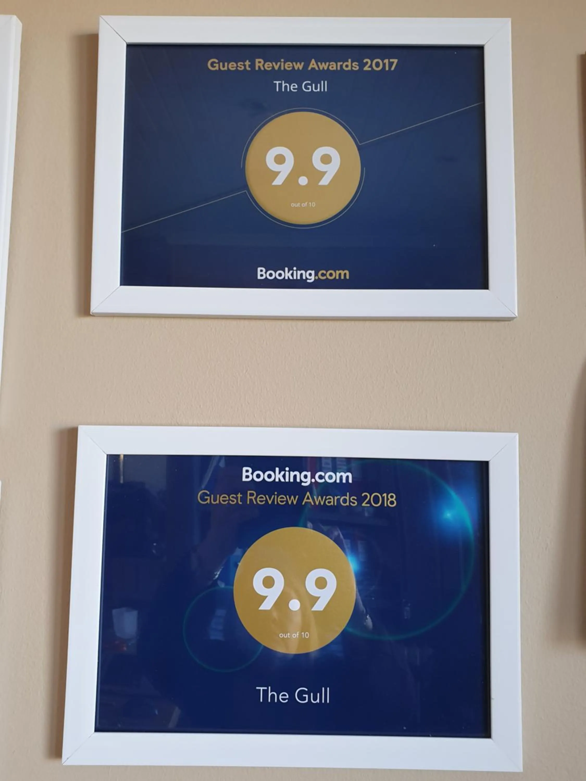 Certificate/Award in The Gull