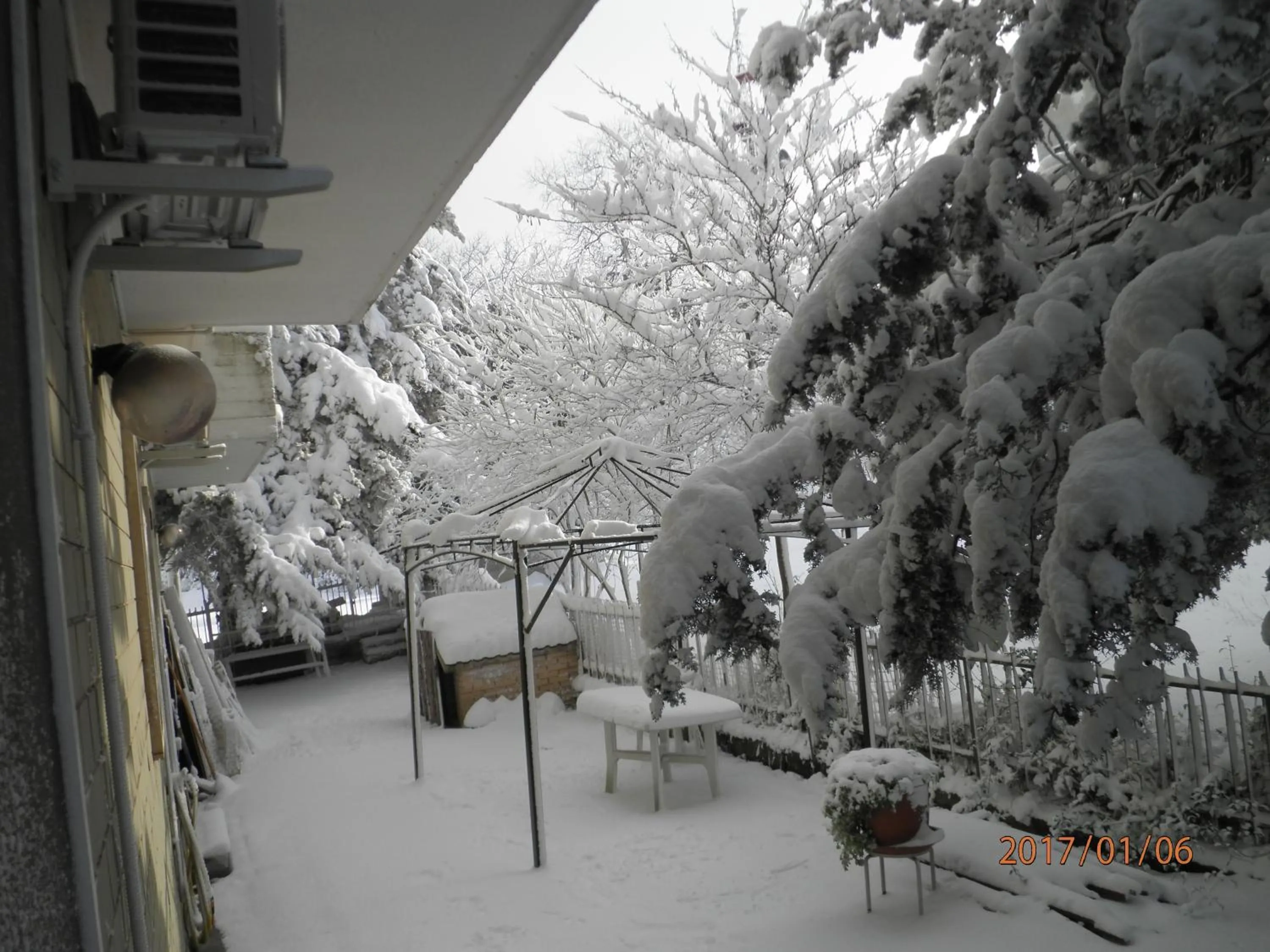 Garden in Don Milani