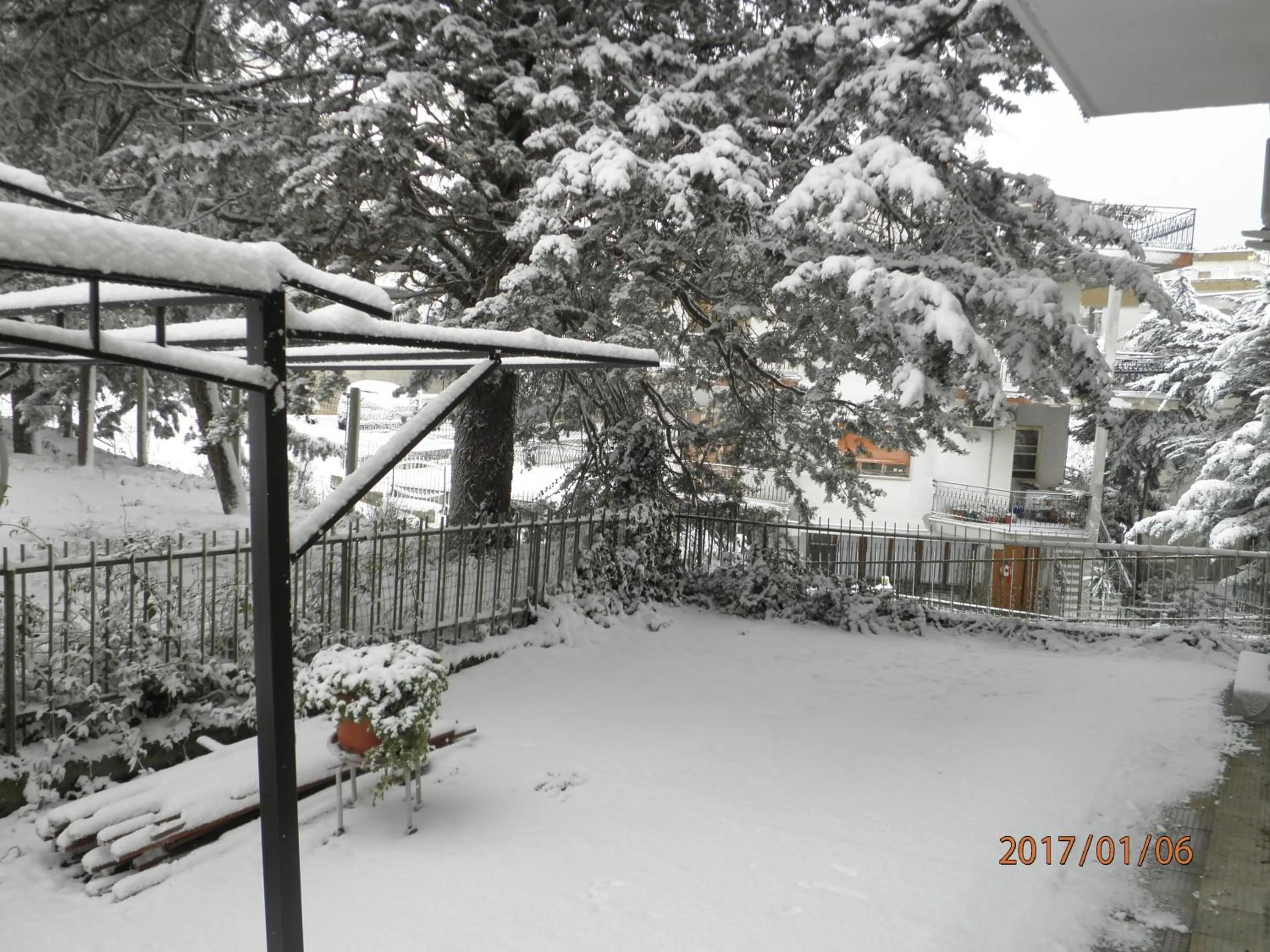 Garden in Don Milani