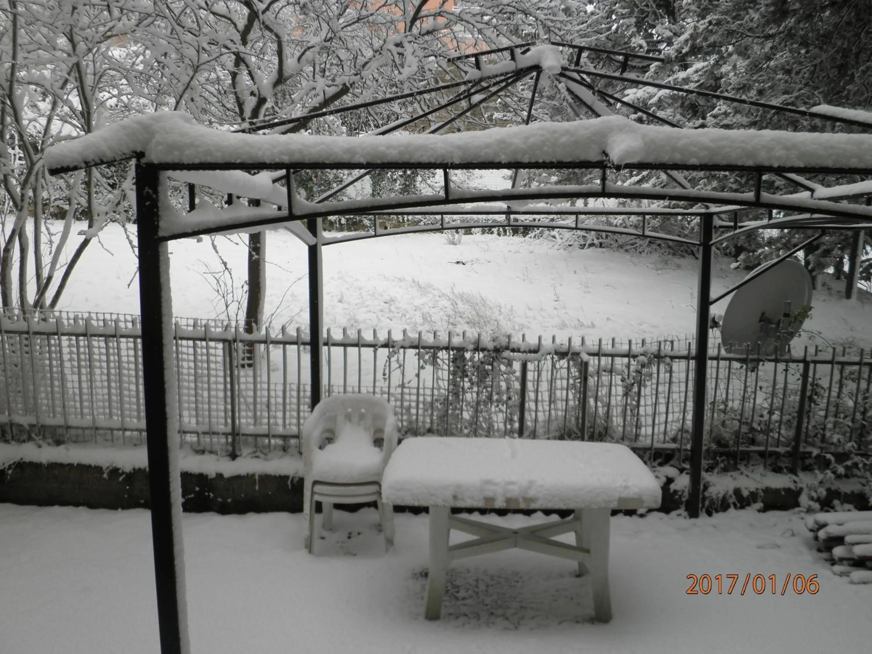 Garden in Don Milani