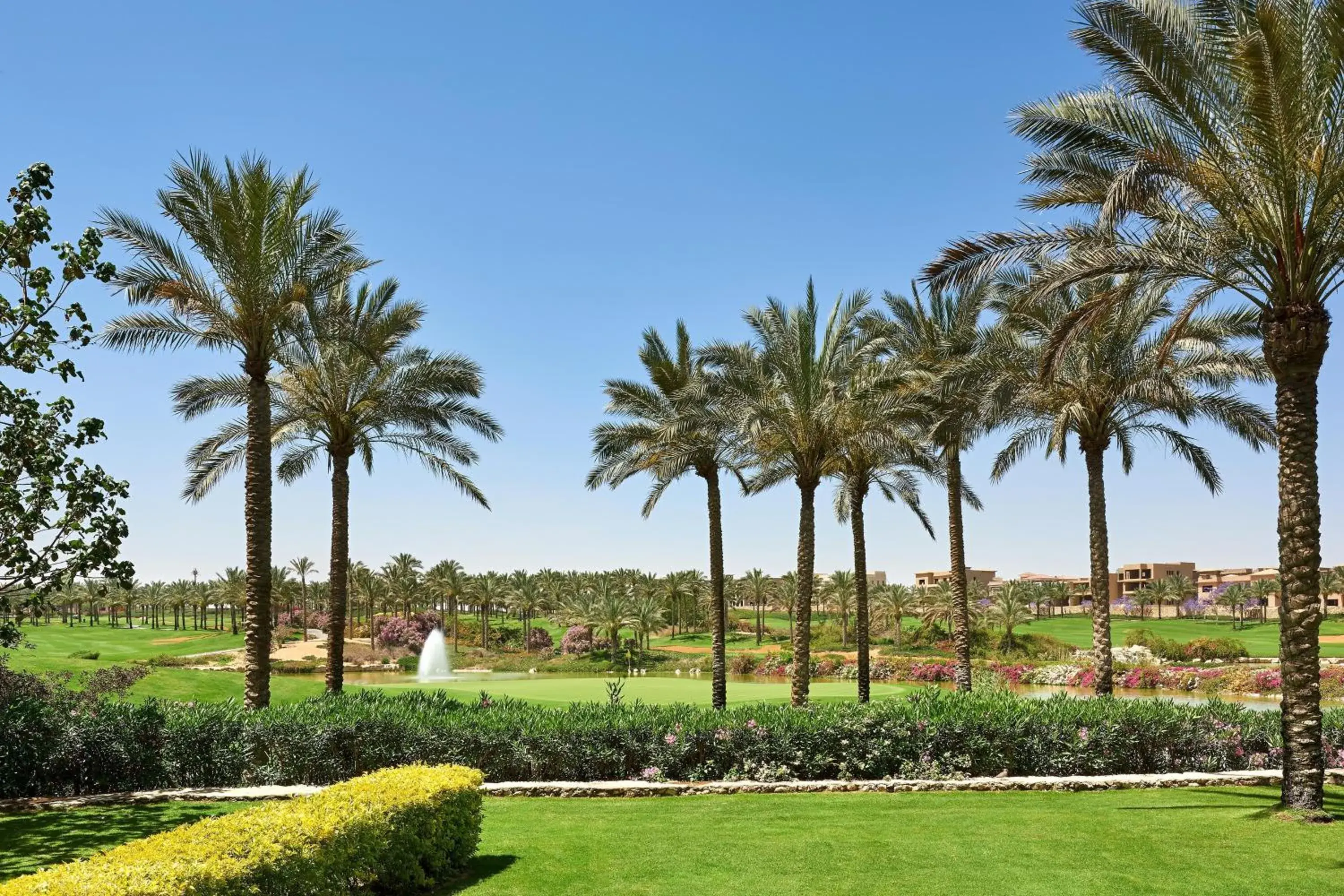 Photo of the whole room, Garden in The Westin Cairo Golf Resort & Spa, Katameya Dunes