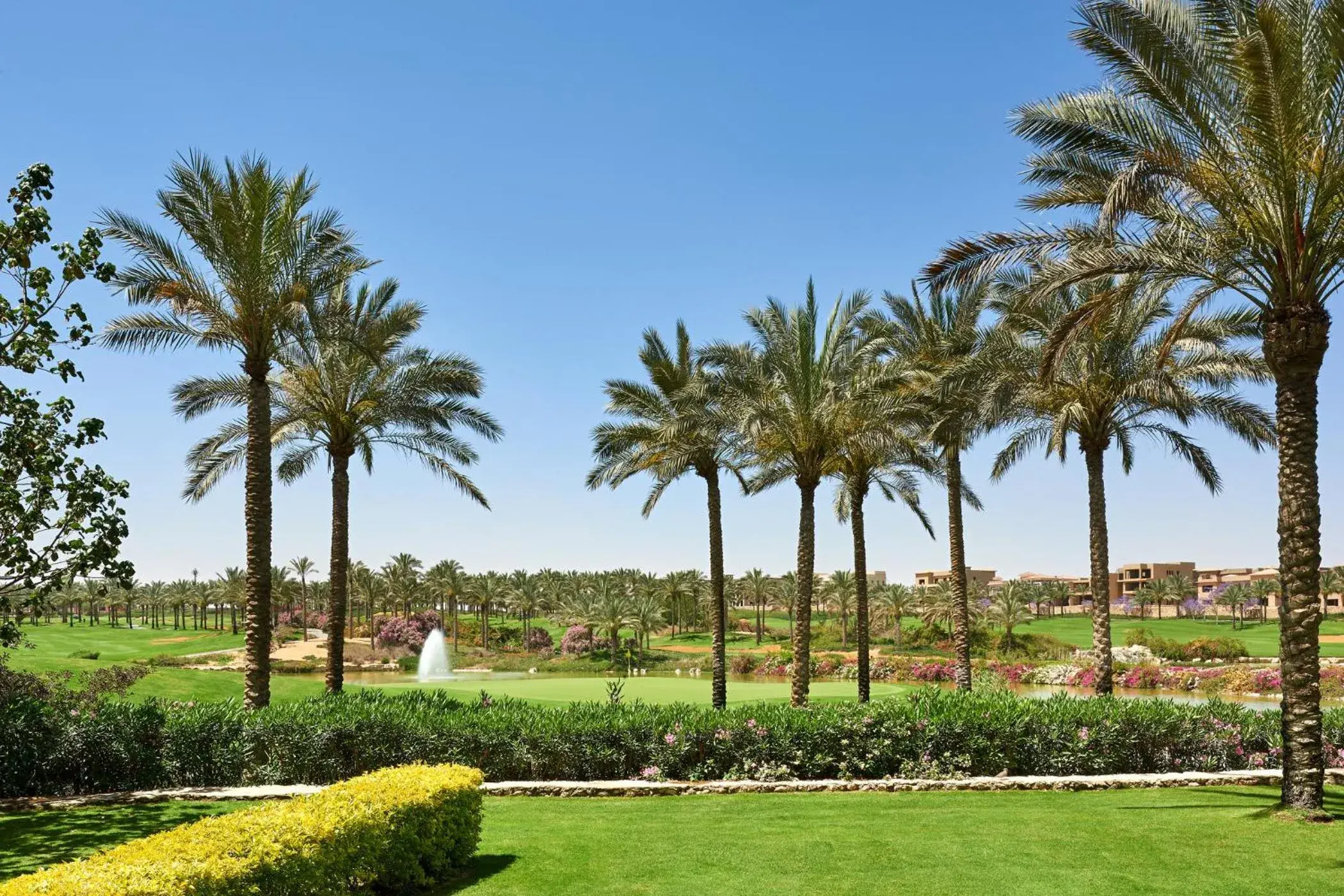 View (from property/room), Garden in The Westin Cairo Golf Resort & Spa, Katameya Dunes