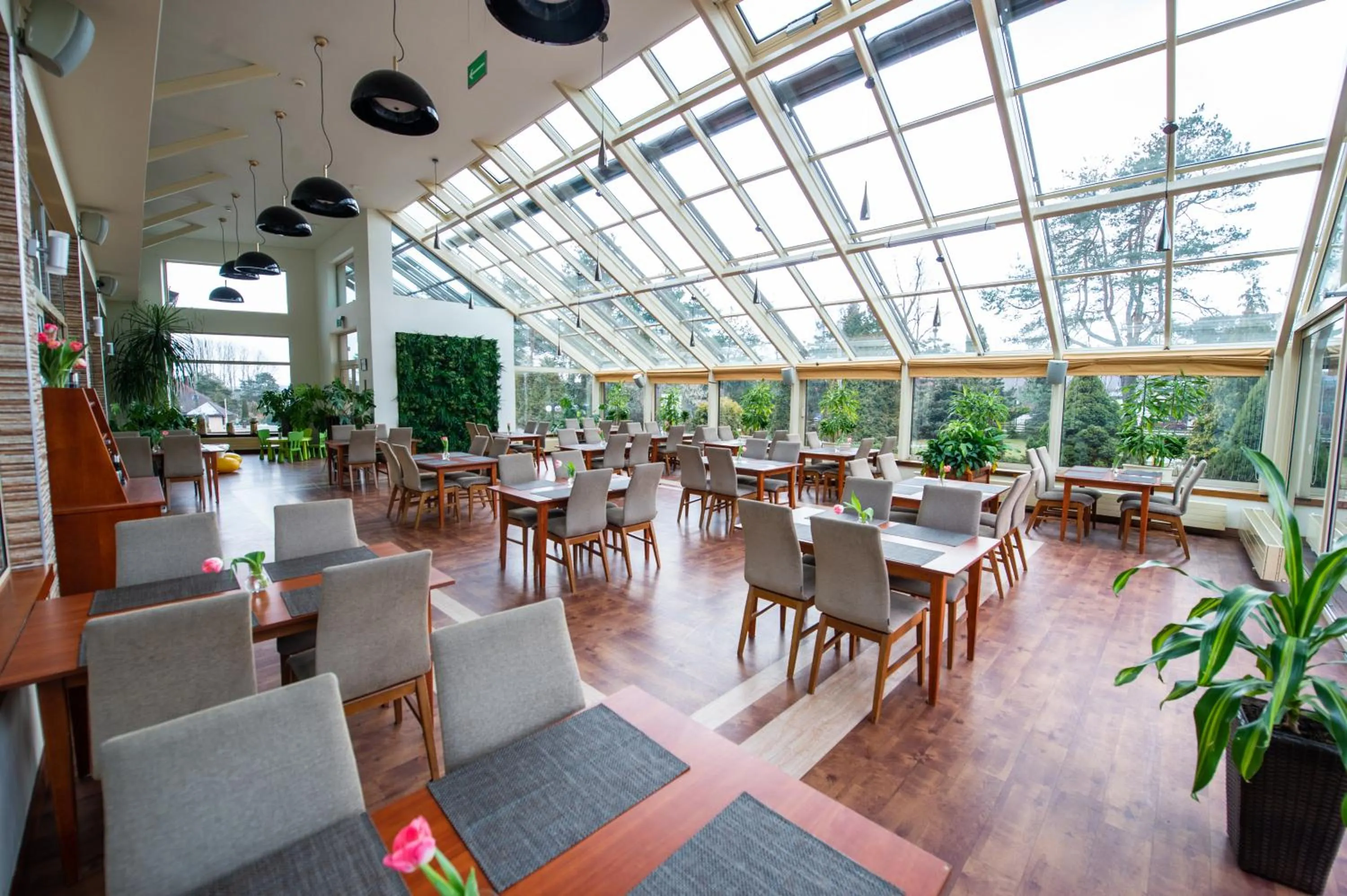 Restaurant/places to eat in Hotel Ostaniec