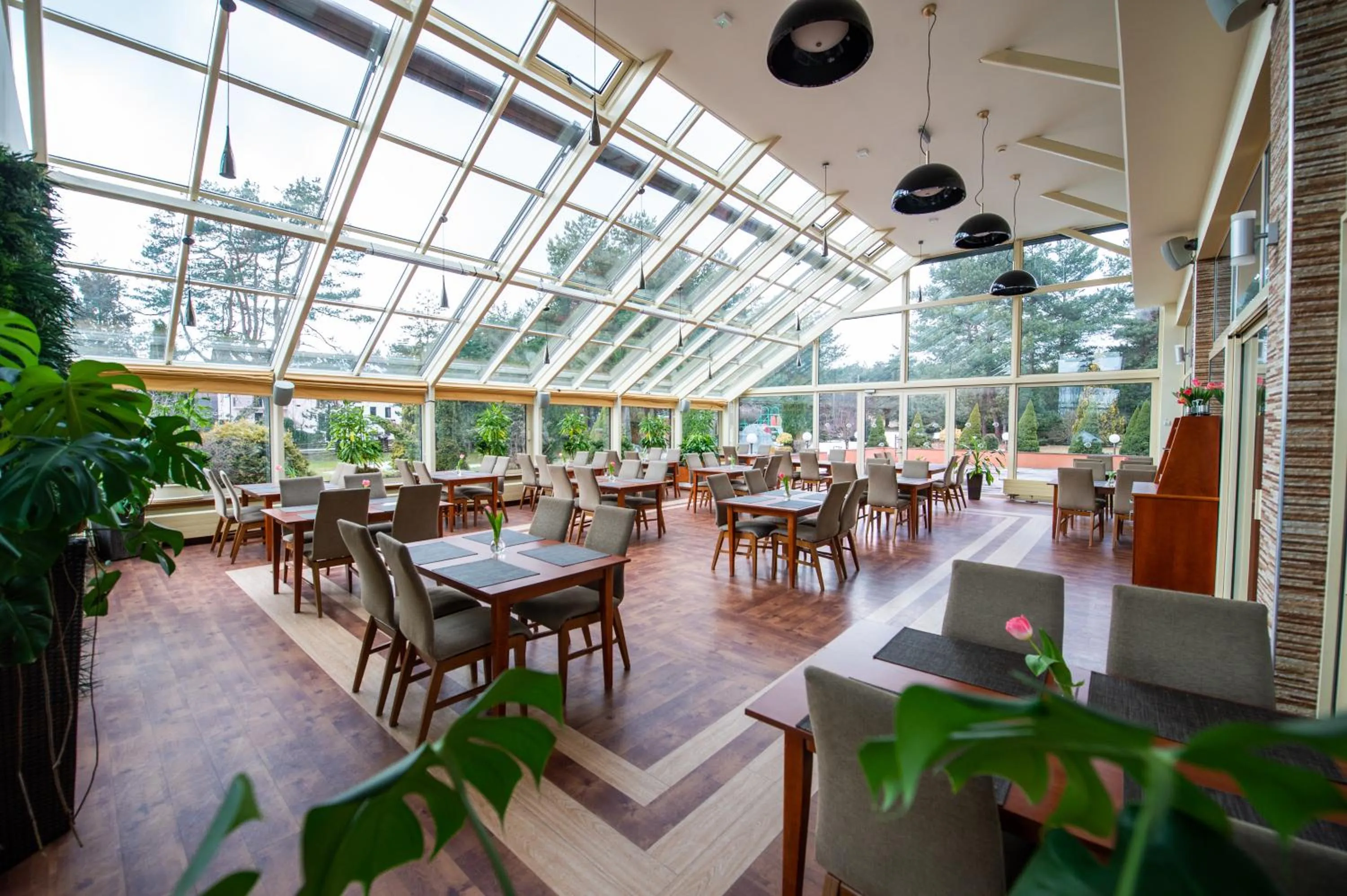 Restaurant/places to eat in Hotel Ostaniec